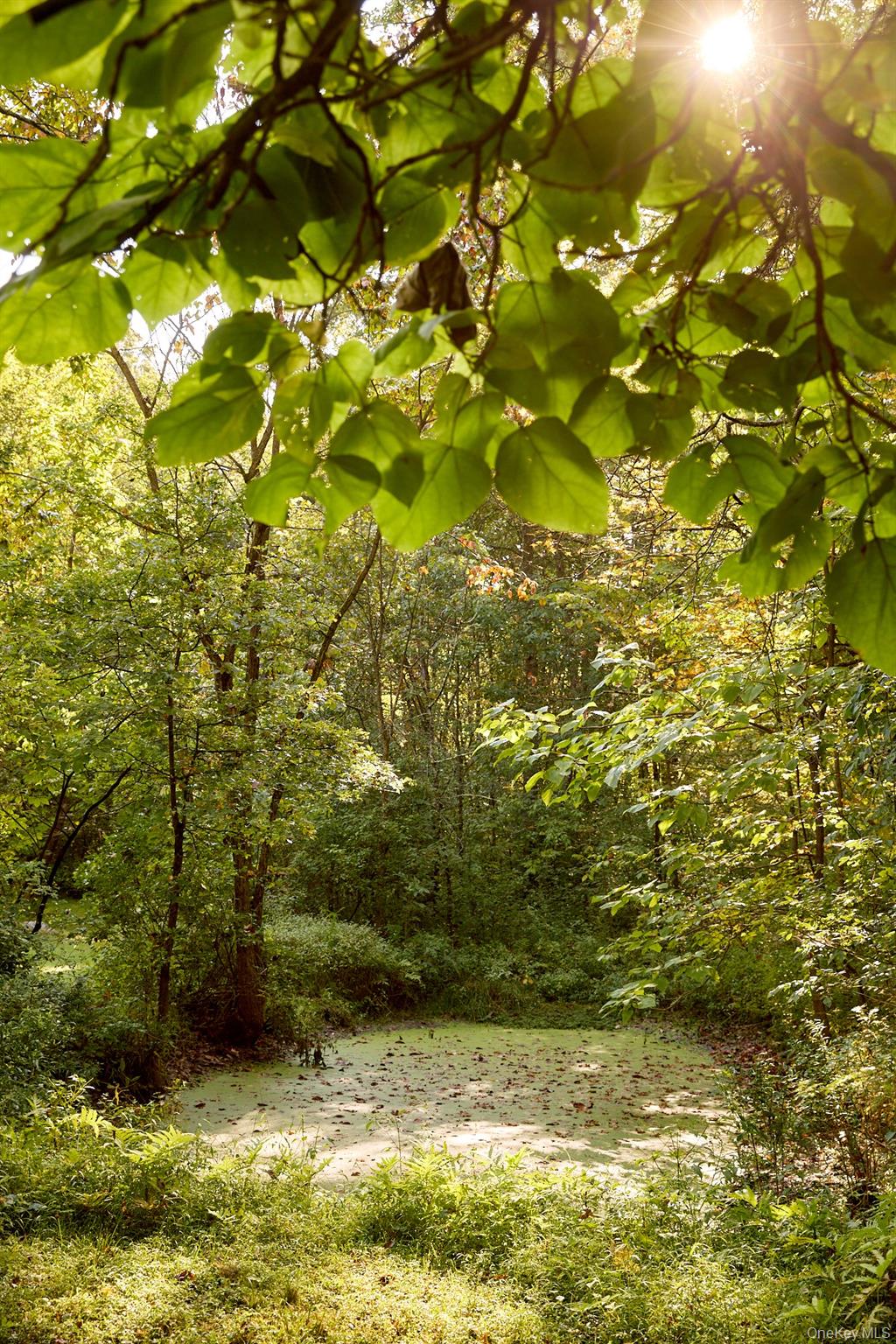 #8 photo, 46 Shivertown, New Paltz , NY 12561