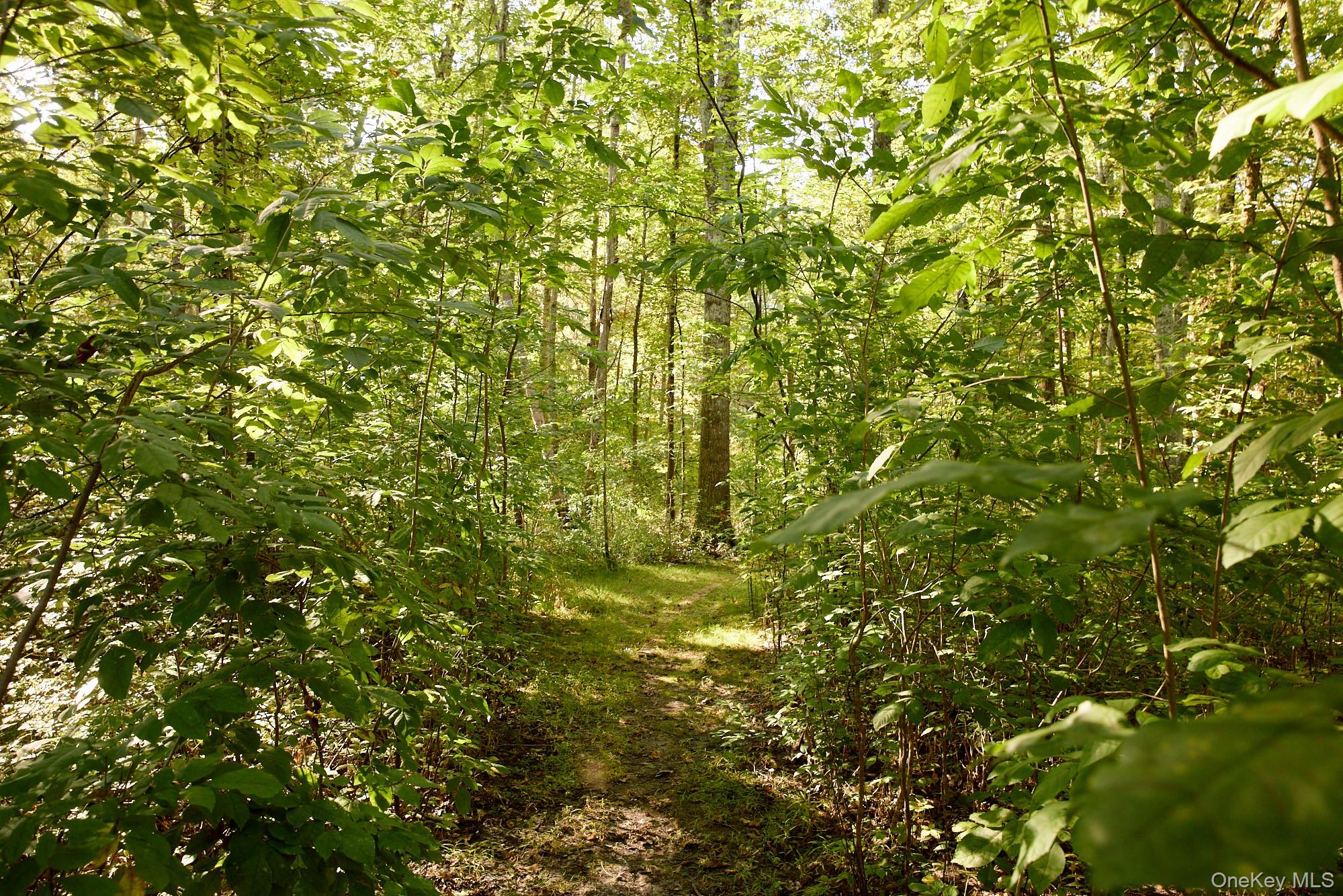 #9 photo, 46 Shivertown, New Paltz , NY 12561