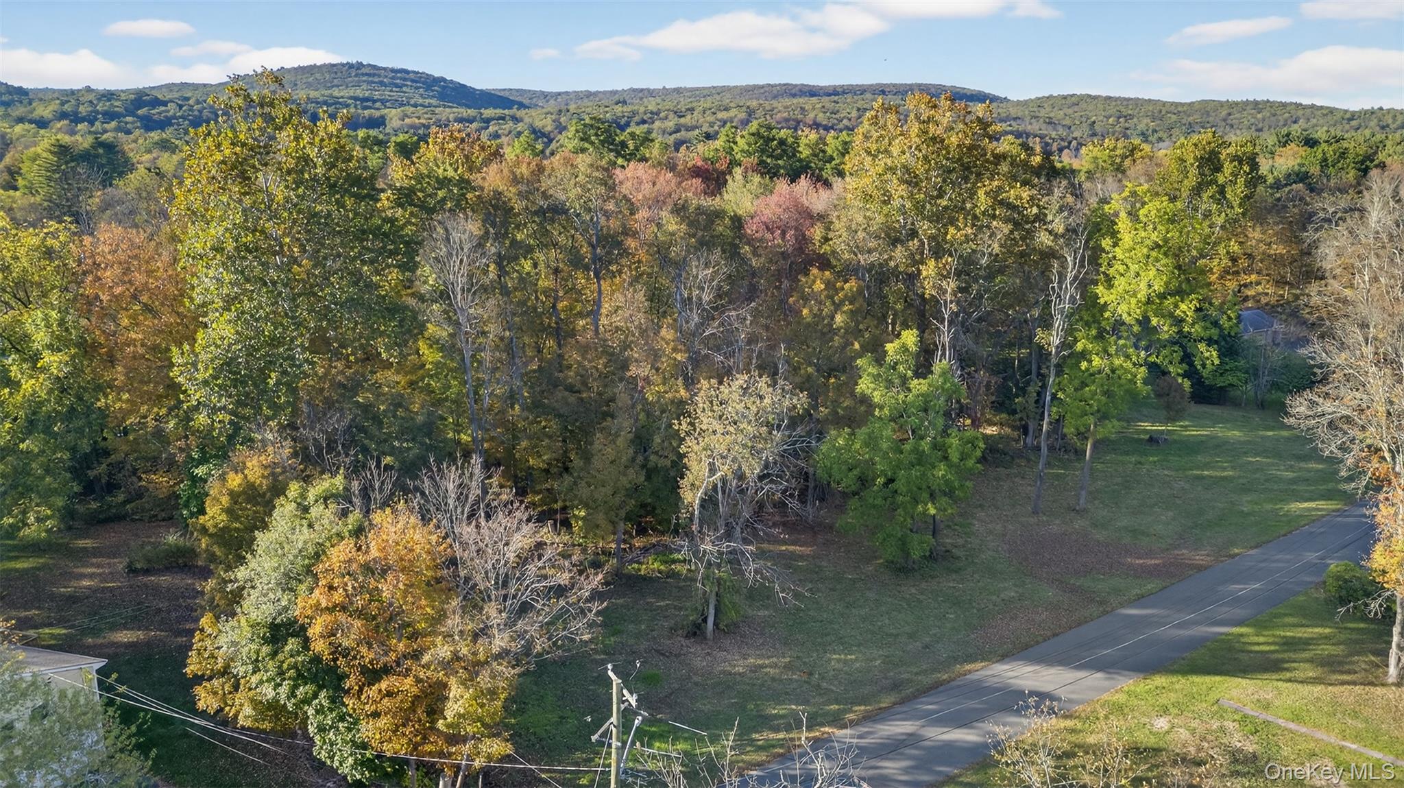 #1 photo, TBD Henry Street, Wurtsboro , NY 12790