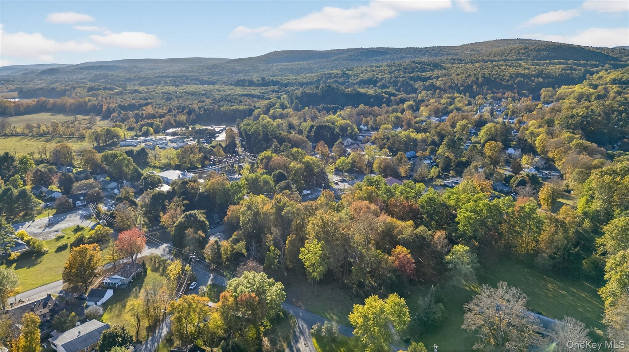 #10 photo, TBD Henry Street, Wurtsboro , NY 12790