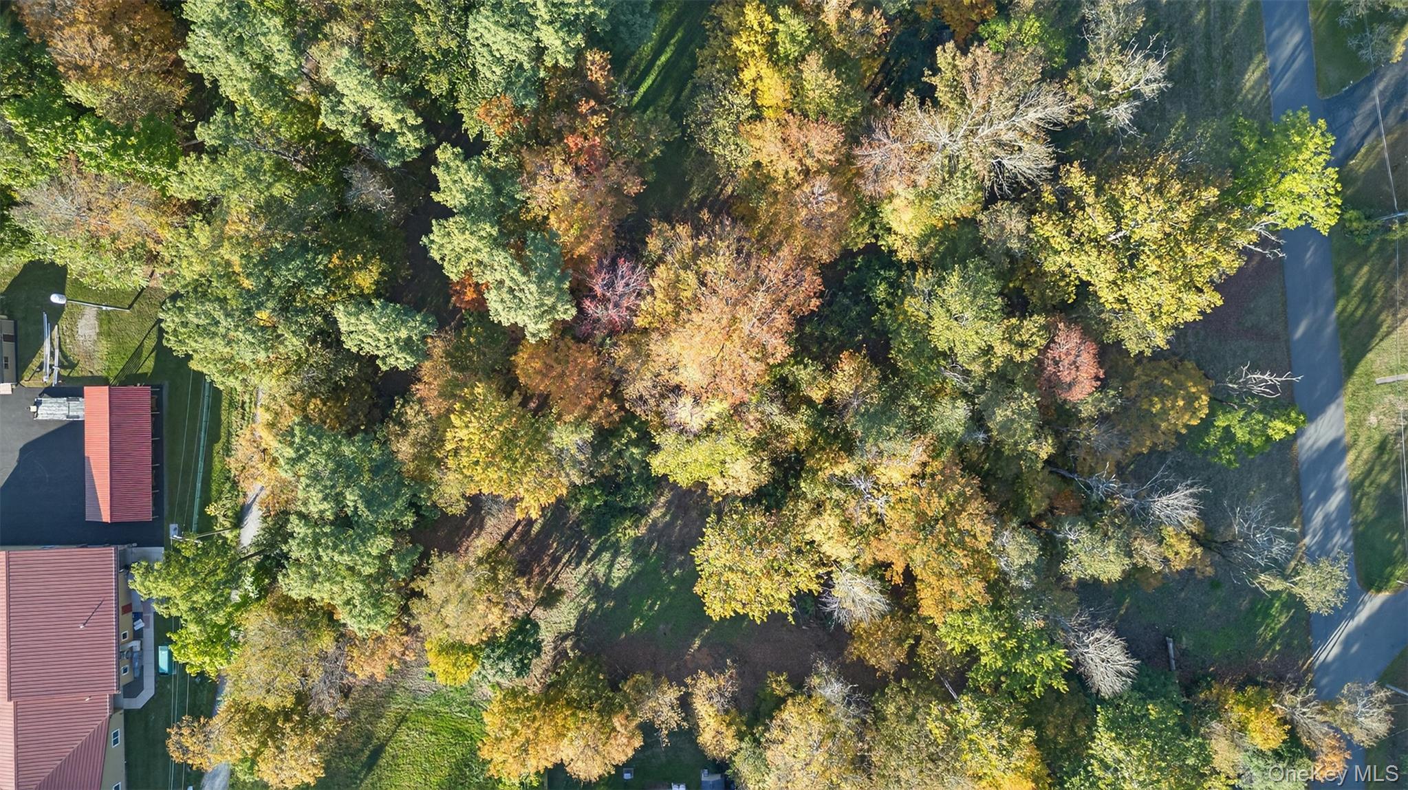 #11 photo, TBD Henry Street, Wurtsboro , NY 12790