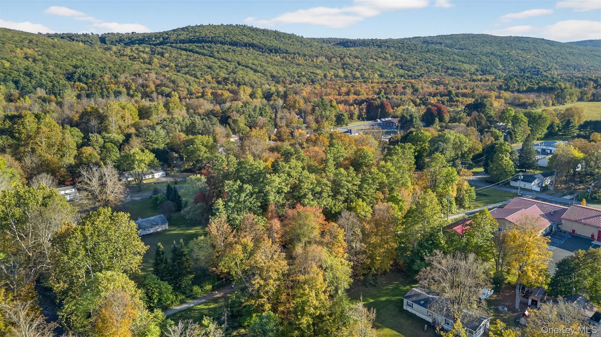 #13 photo, TBD Henry Street, Wurtsboro , NY 12790