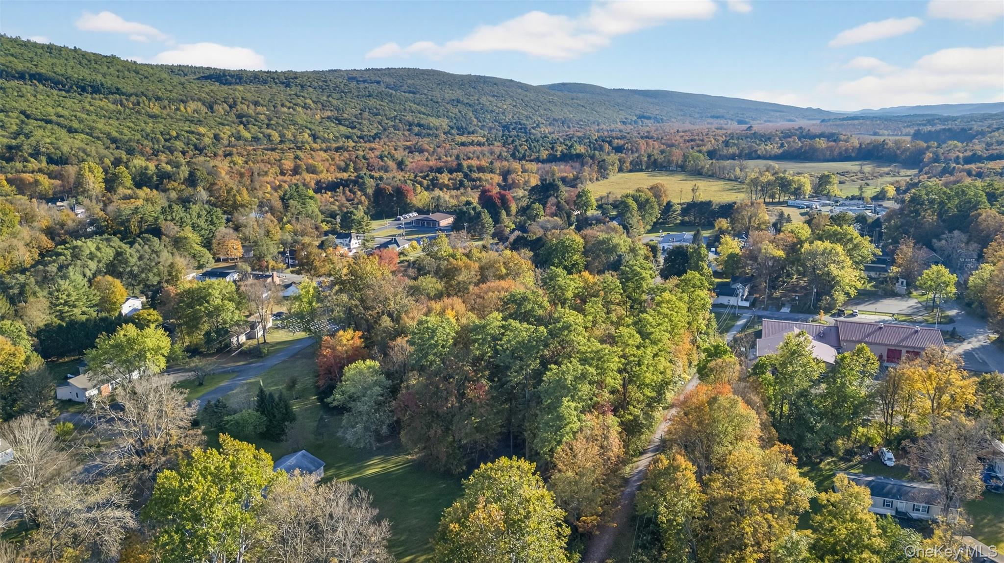 #14 photo, TBD Henry Street, Wurtsboro , NY 12790