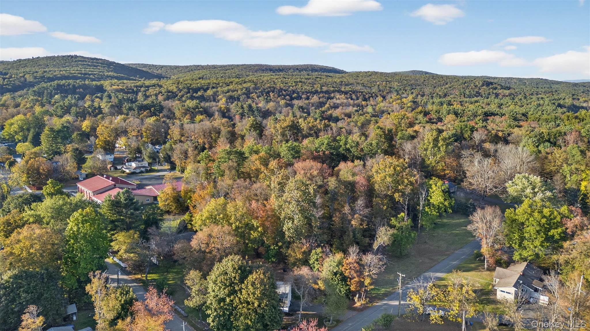 #15 photo, TBD Henry Street, Wurtsboro , NY 12790