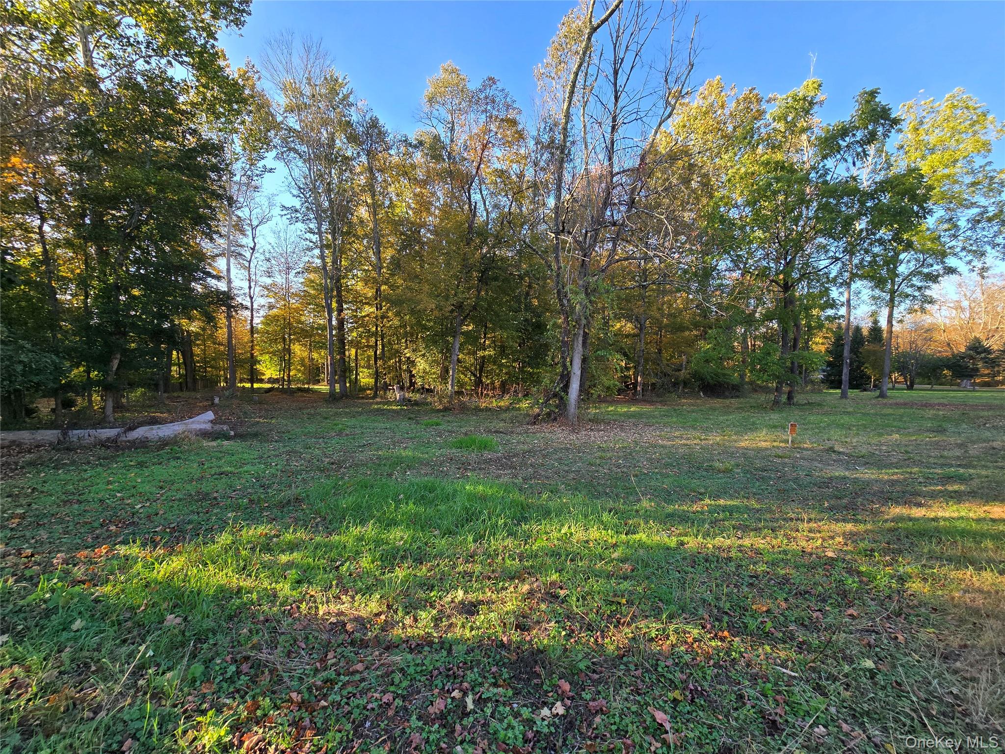 #16 photo, TBD Henry Street, Wurtsboro , NY 12790