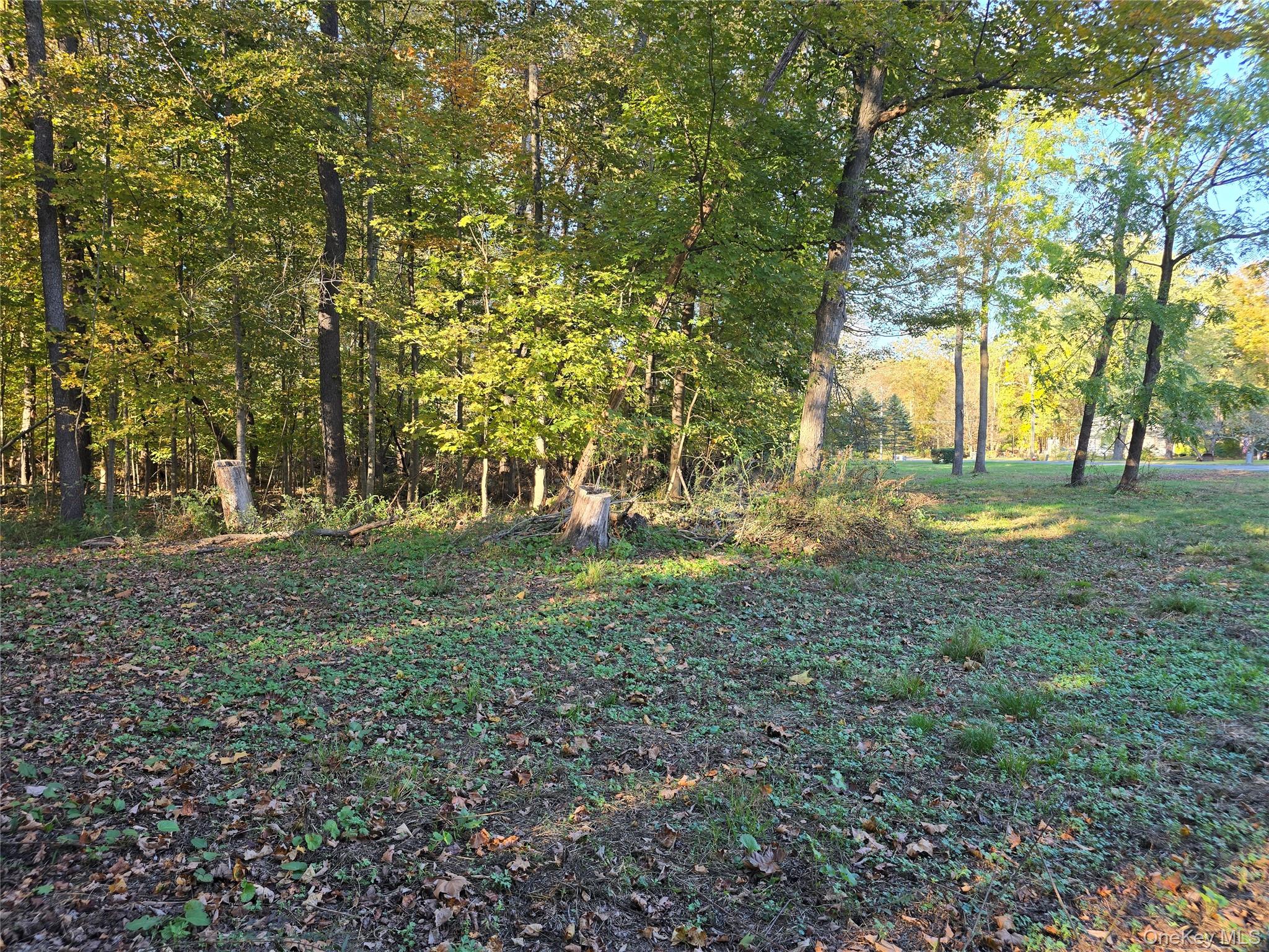 #18 photo, TBD Henry Street, Wurtsboro , NY 12790