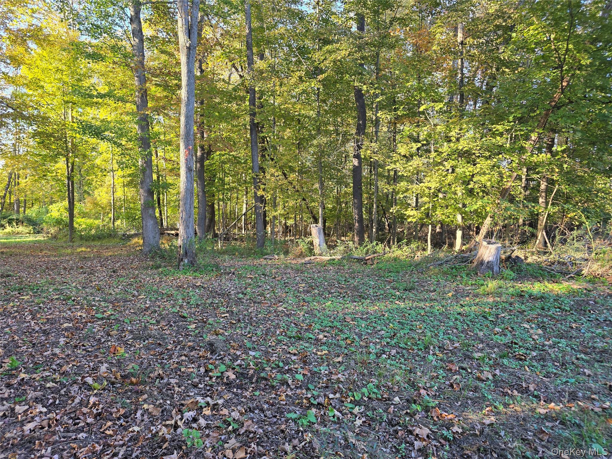 #19 photo, TBD Henry Street, Wurtsboro , NY 12790