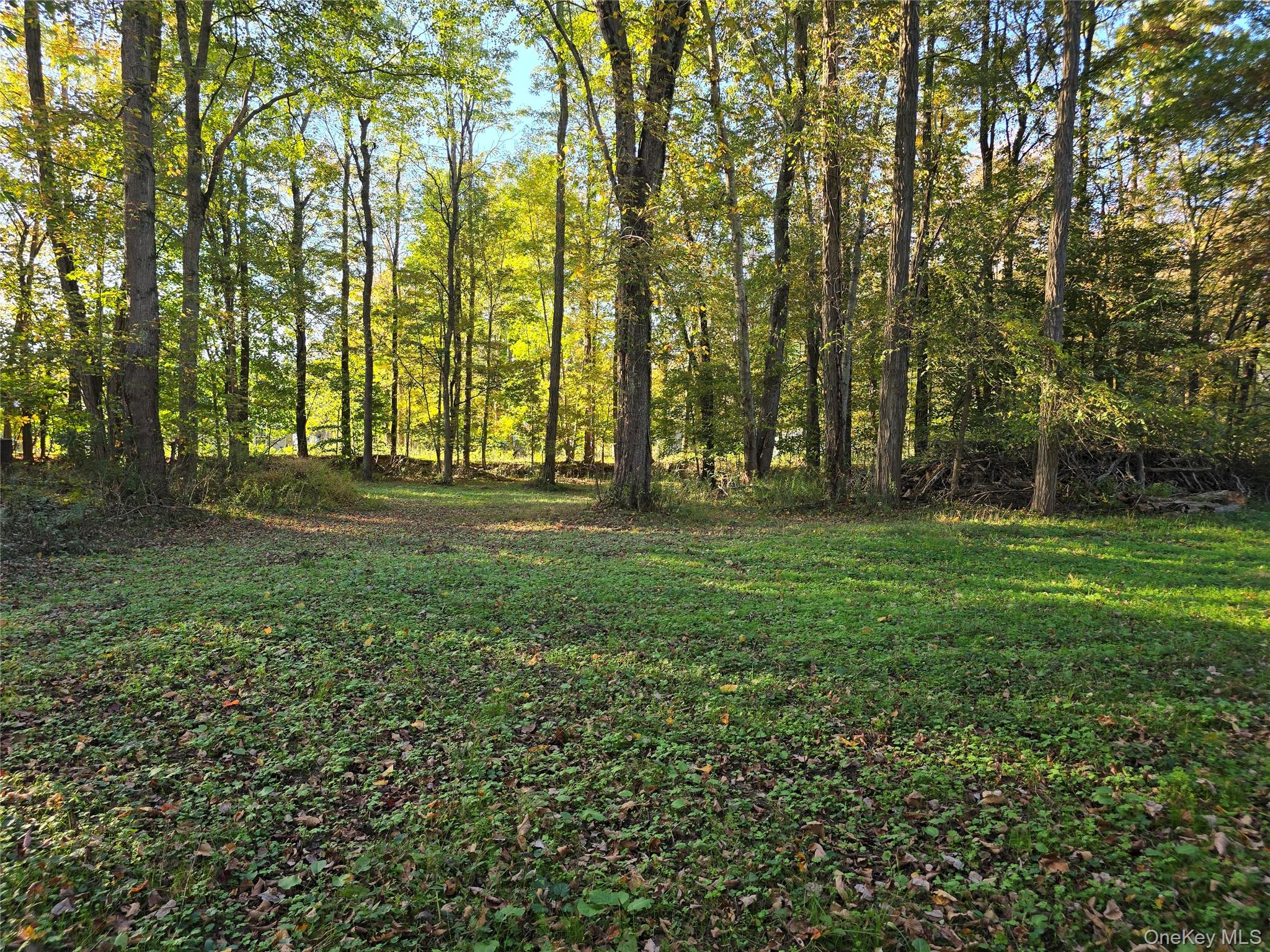 #20 photo, TBD Henry Street, Wurtsboro , NY 12790