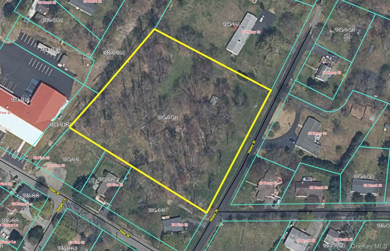 #3 photo, TBD Henry Street, Wurtsboro , NY 12790