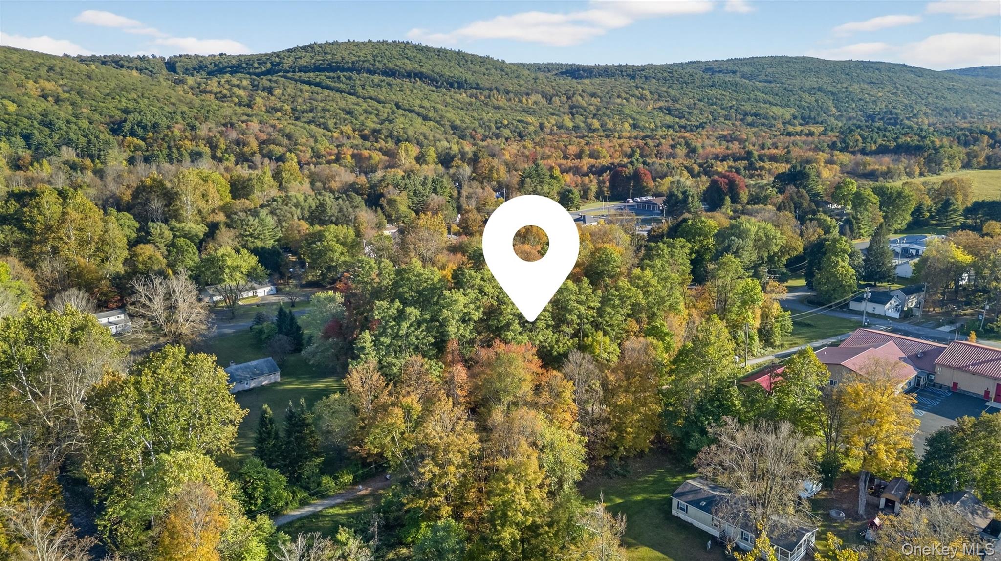 #6 photo, TBD Henry Street, Wurtsboro , NY 12790