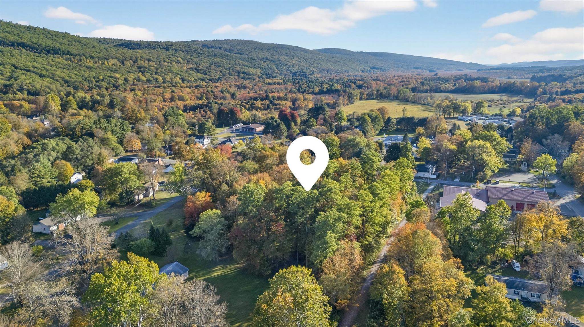 #7 photo, TBD Henry Street, Wurtsboro , NY 12790