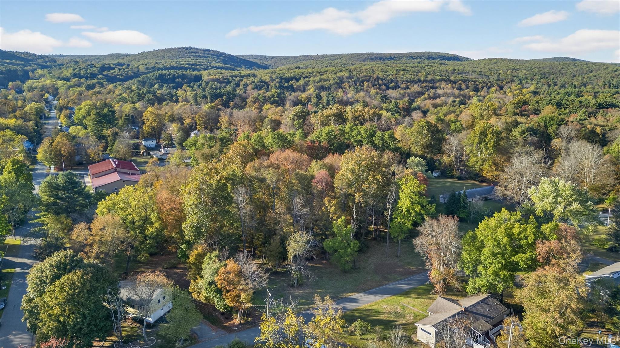 #8 photo, TBD Henry Street, Wurtsboro , NY 12790