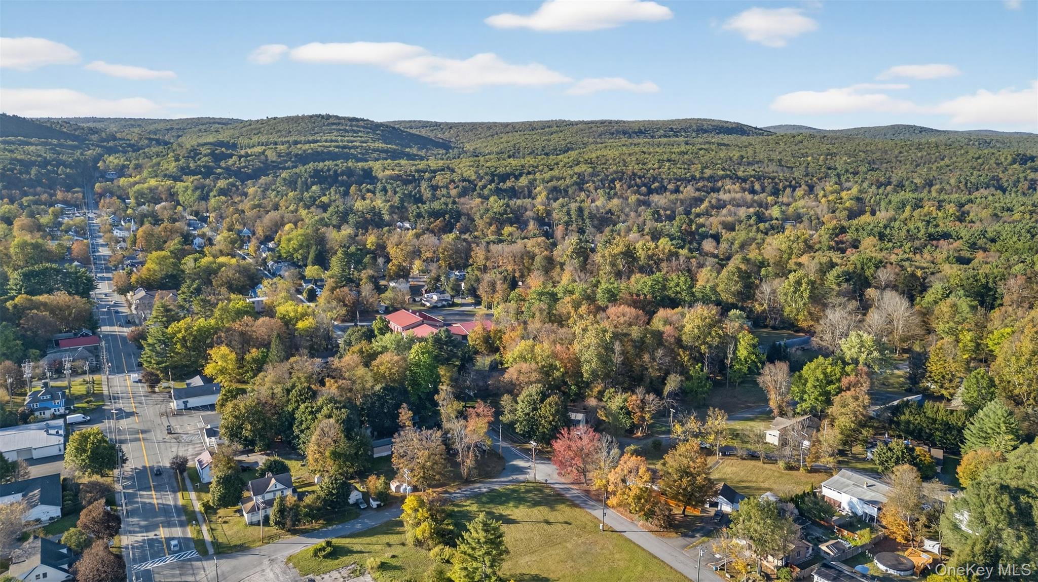 #9 photo, TBD Henry Street, Wurtsboro , NY 12790