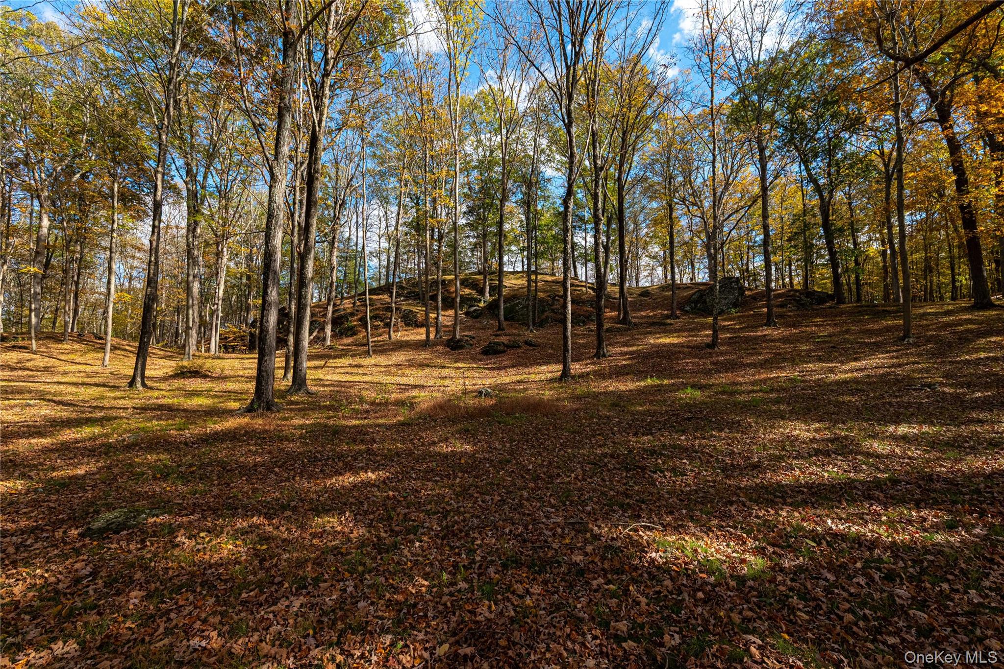 #4 photo, 31 W Lake Road, Warwick , NY 10990