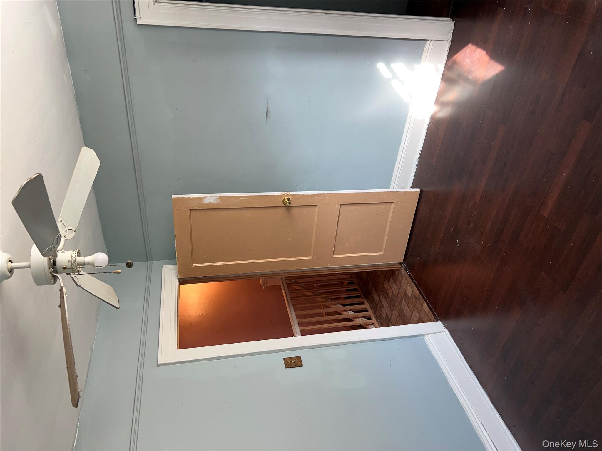 #2 photo, 3317 Clarendon Road, Brooklyn , NY 11203