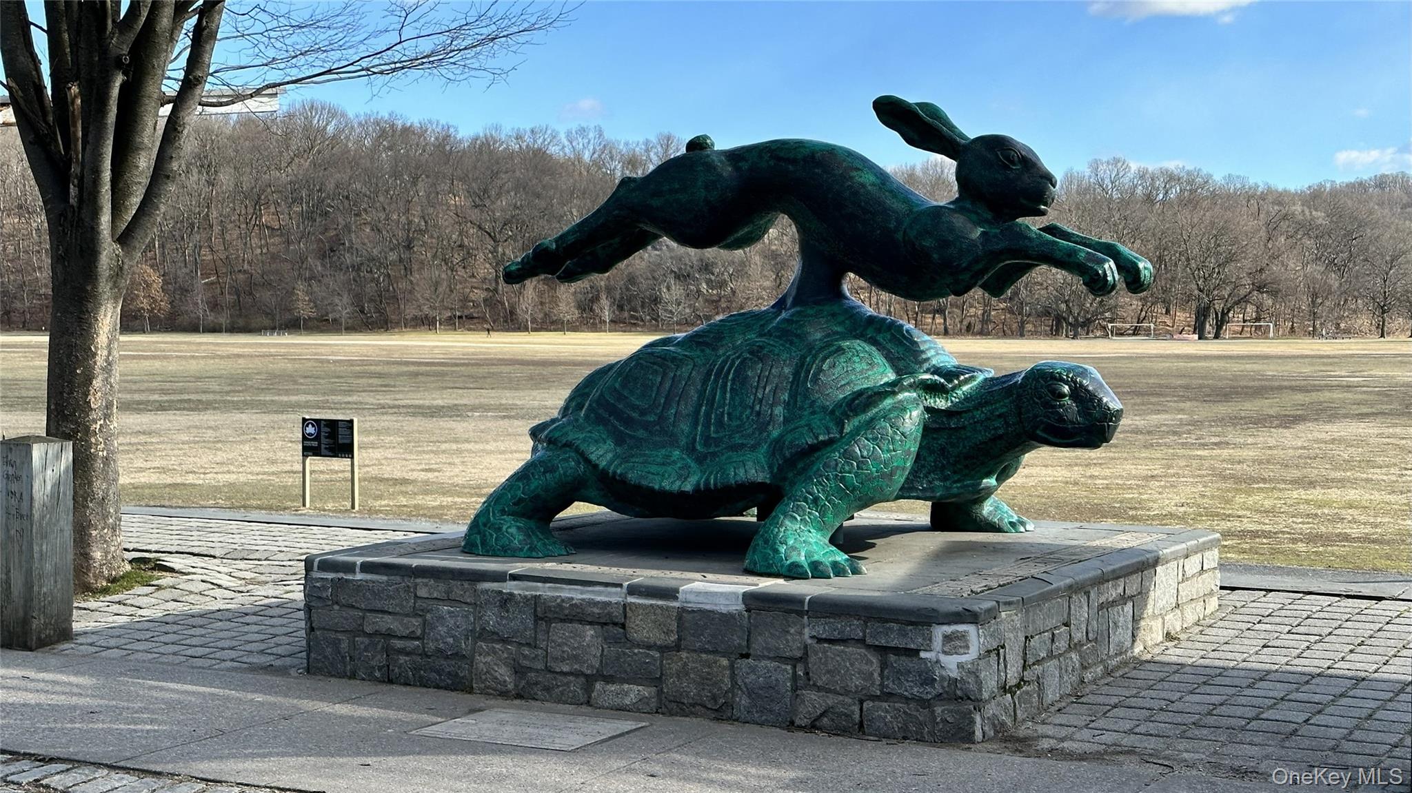 #14 photo, 6535 Broadway, ブロンクス区 Bronx , NY 10471