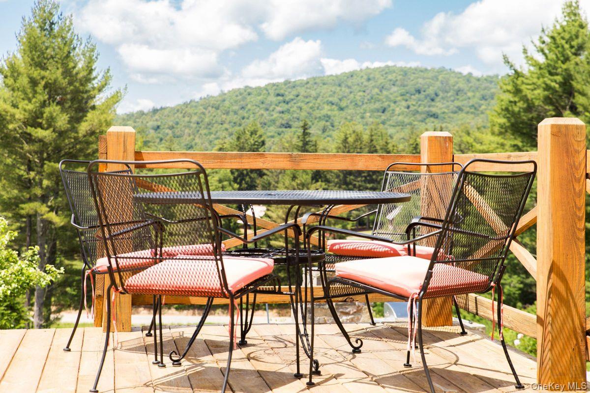 #11 photo, 60 Leon Lane, Call Listing Agent , NY 12878