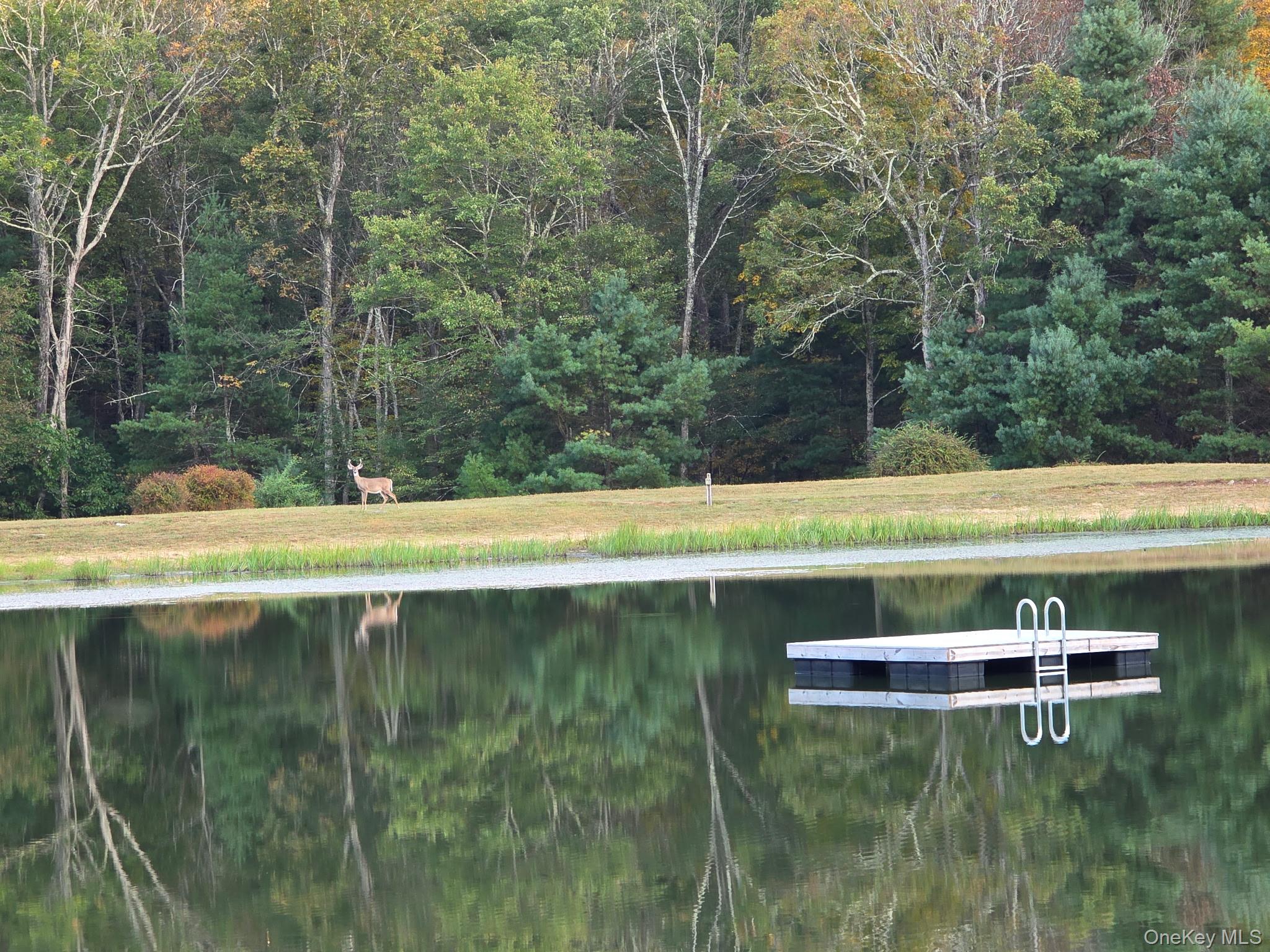 #1 photo, Black Bear Court, Barryville , NY 12719