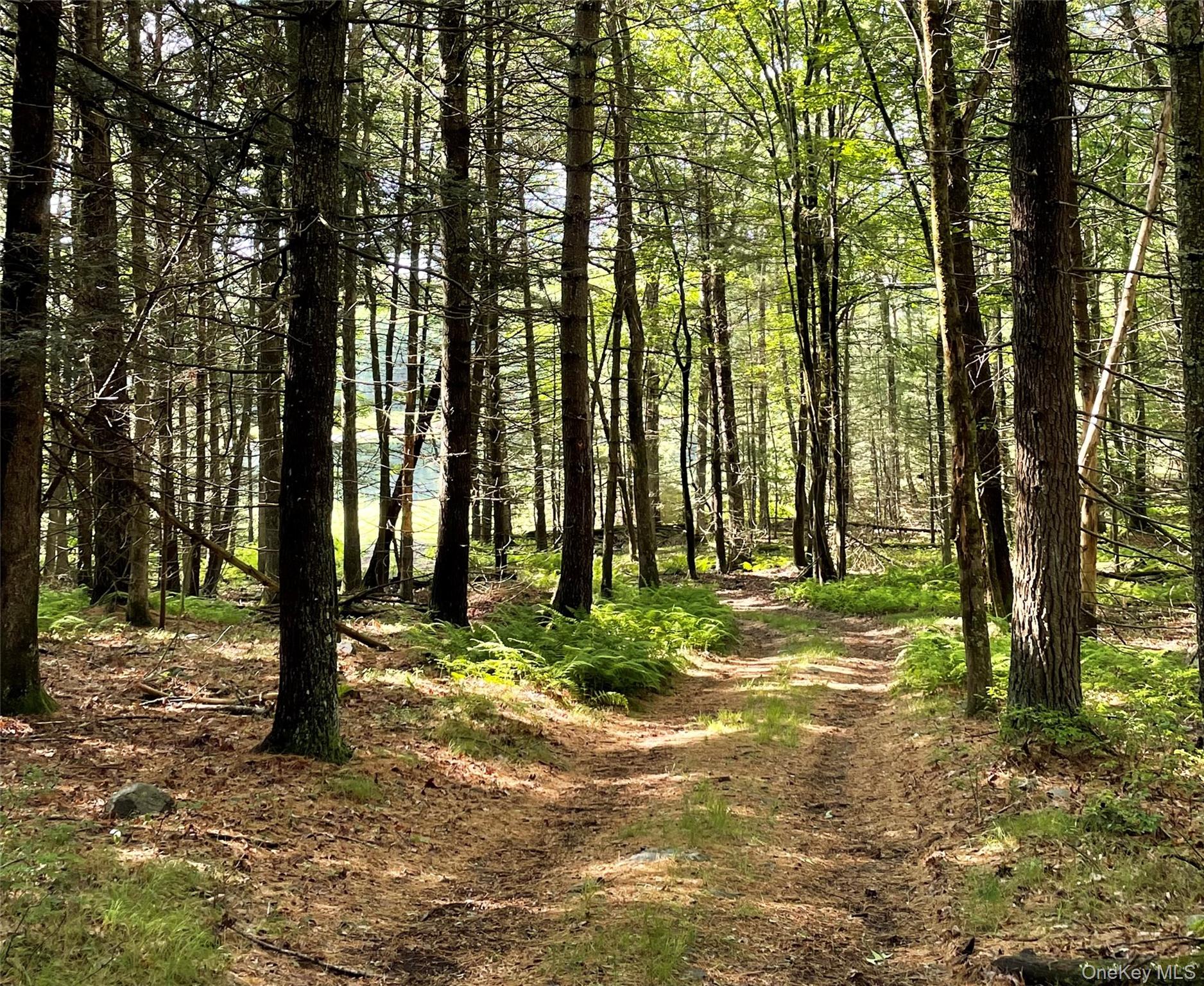 #5 photo, Black Bear Court, Barryville , NY 12719