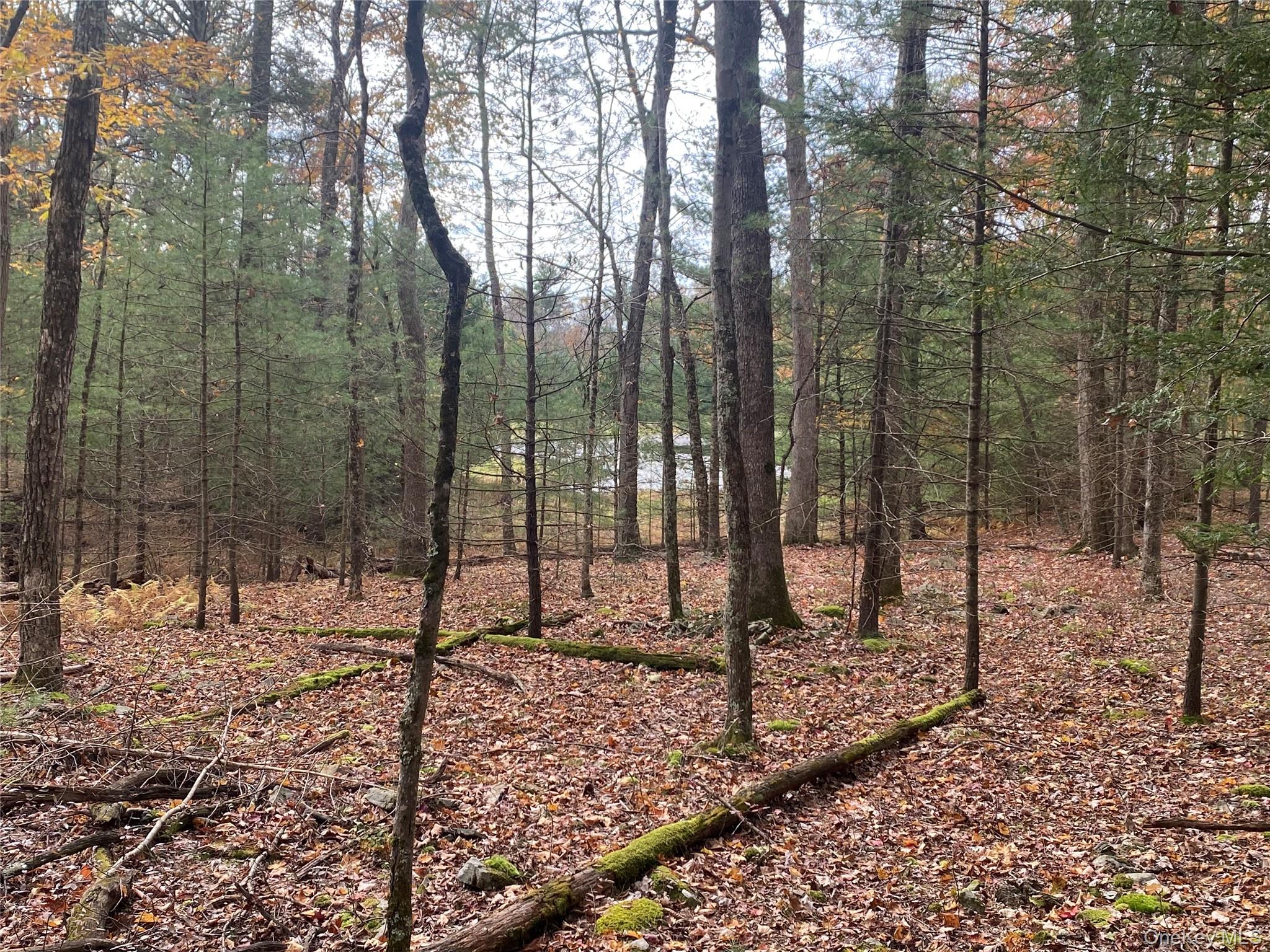 #6 photo, Black Bear Court, Barryville , NY 12719