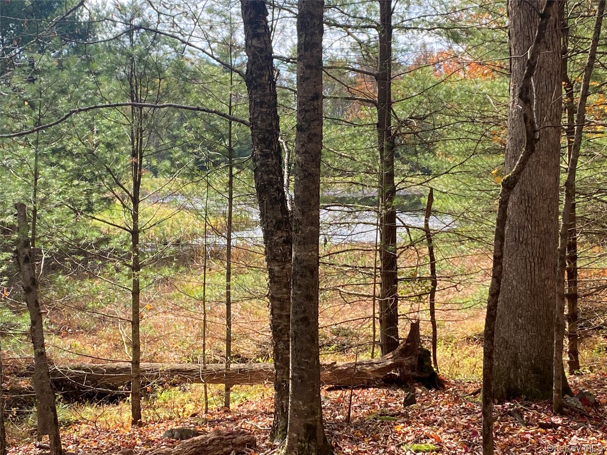 #7 photo, Black Bear Court, Barryville , NY 12719