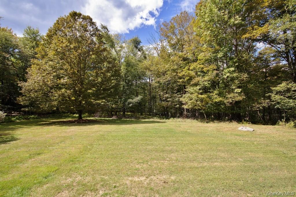 #6 photo, 151 Airport Road, Bethel , NY 12762