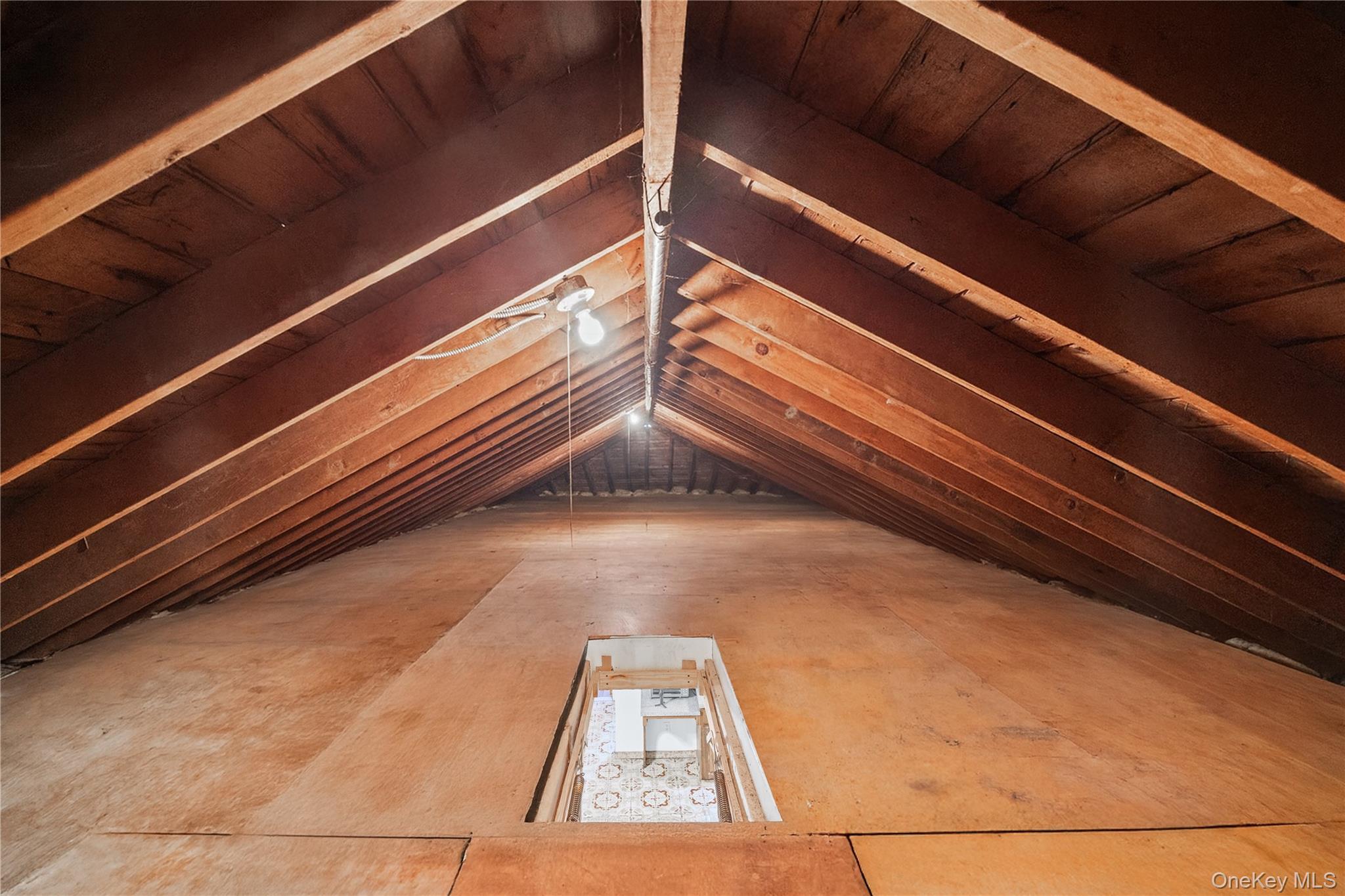 #14 photo, 1815 Mahan Avenue, Bronx , NY 10461