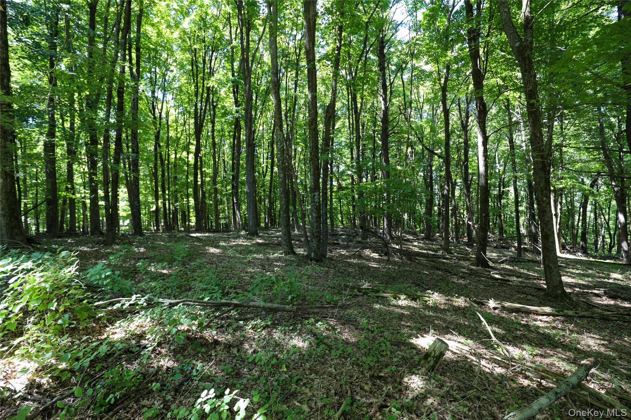 #11 photo, 458 Lucas Avenue, Kingston , NY 12487