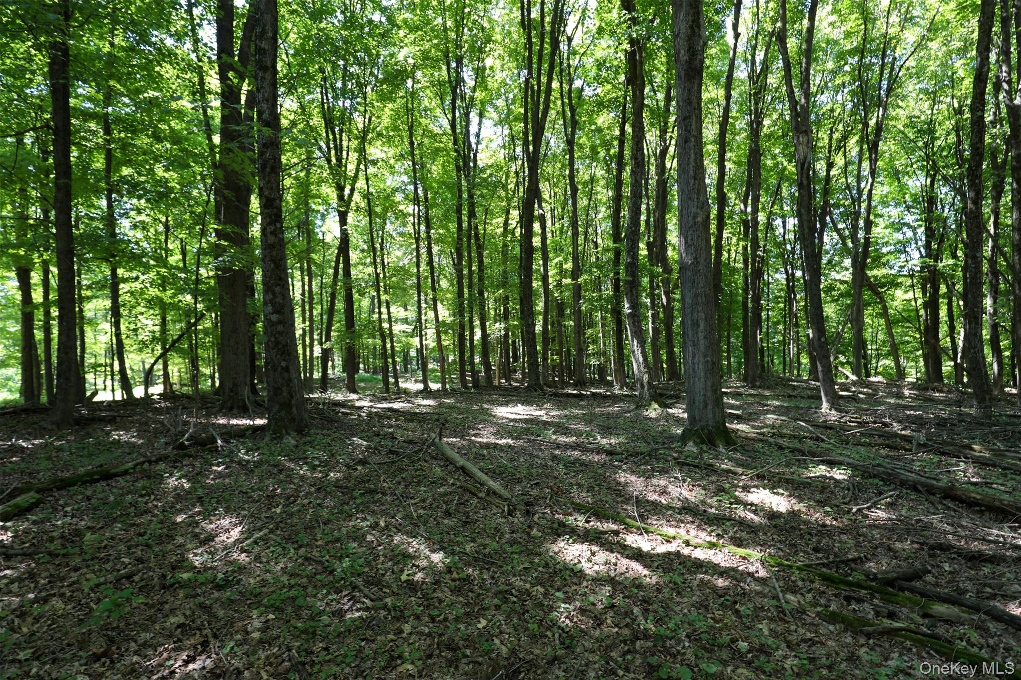 #2 photo, 458 Lucas Avenue, Kingston , NY 12487