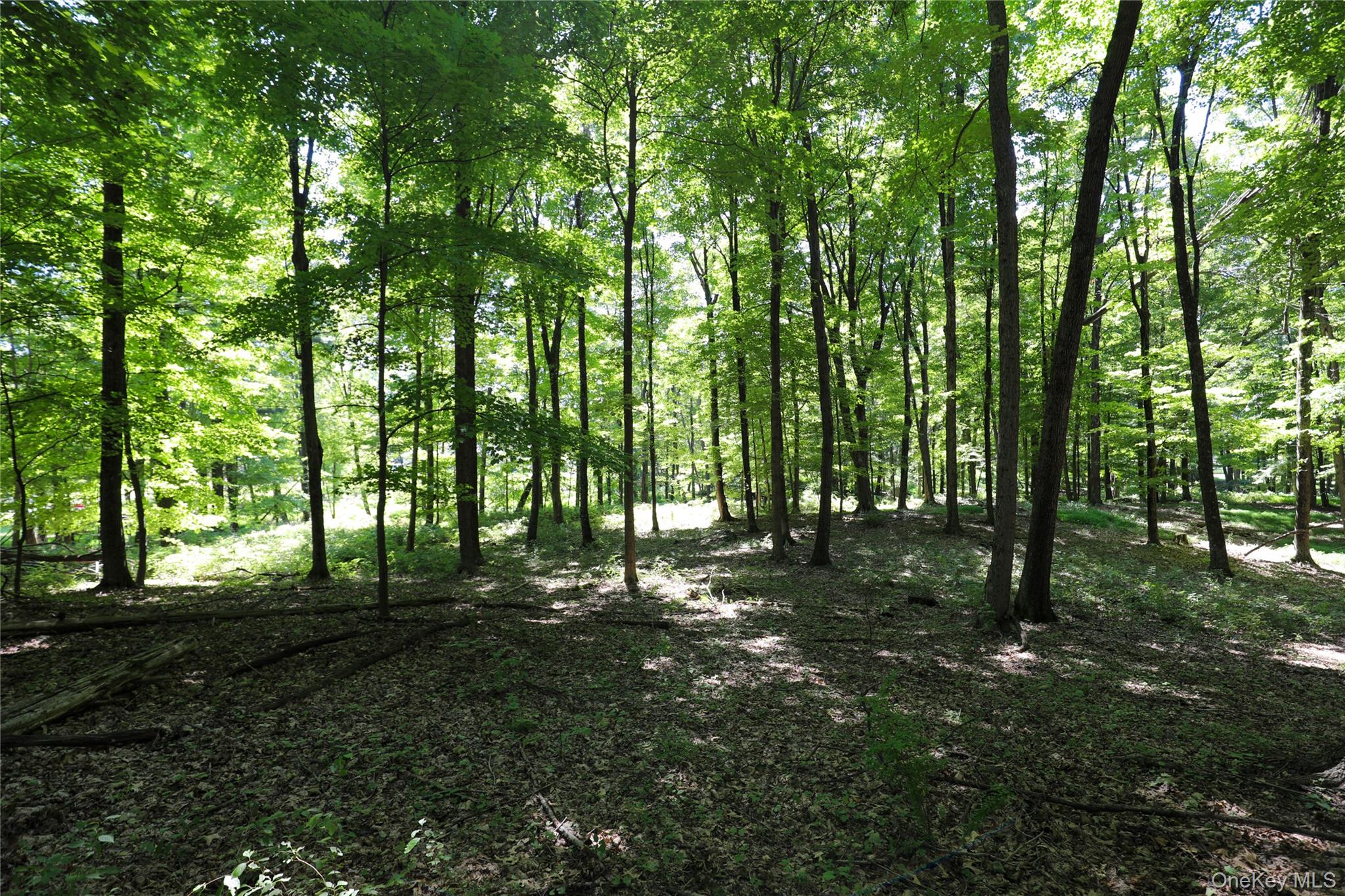 #3 photo, 458 Lucas Avenue, Kingston , NY 12487