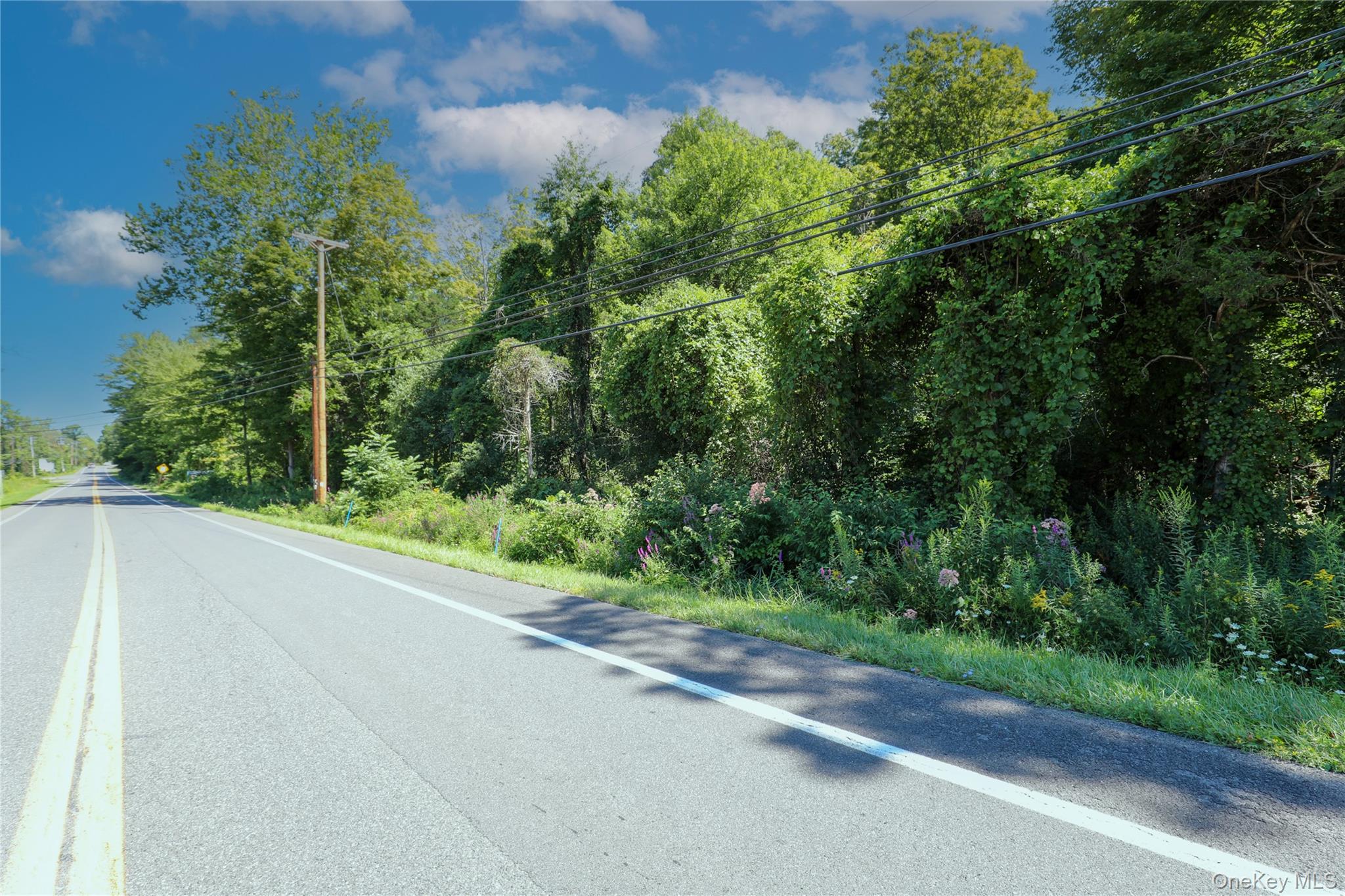 #5 photo, 458 Lucas Avenue, Kingston , NY 12487