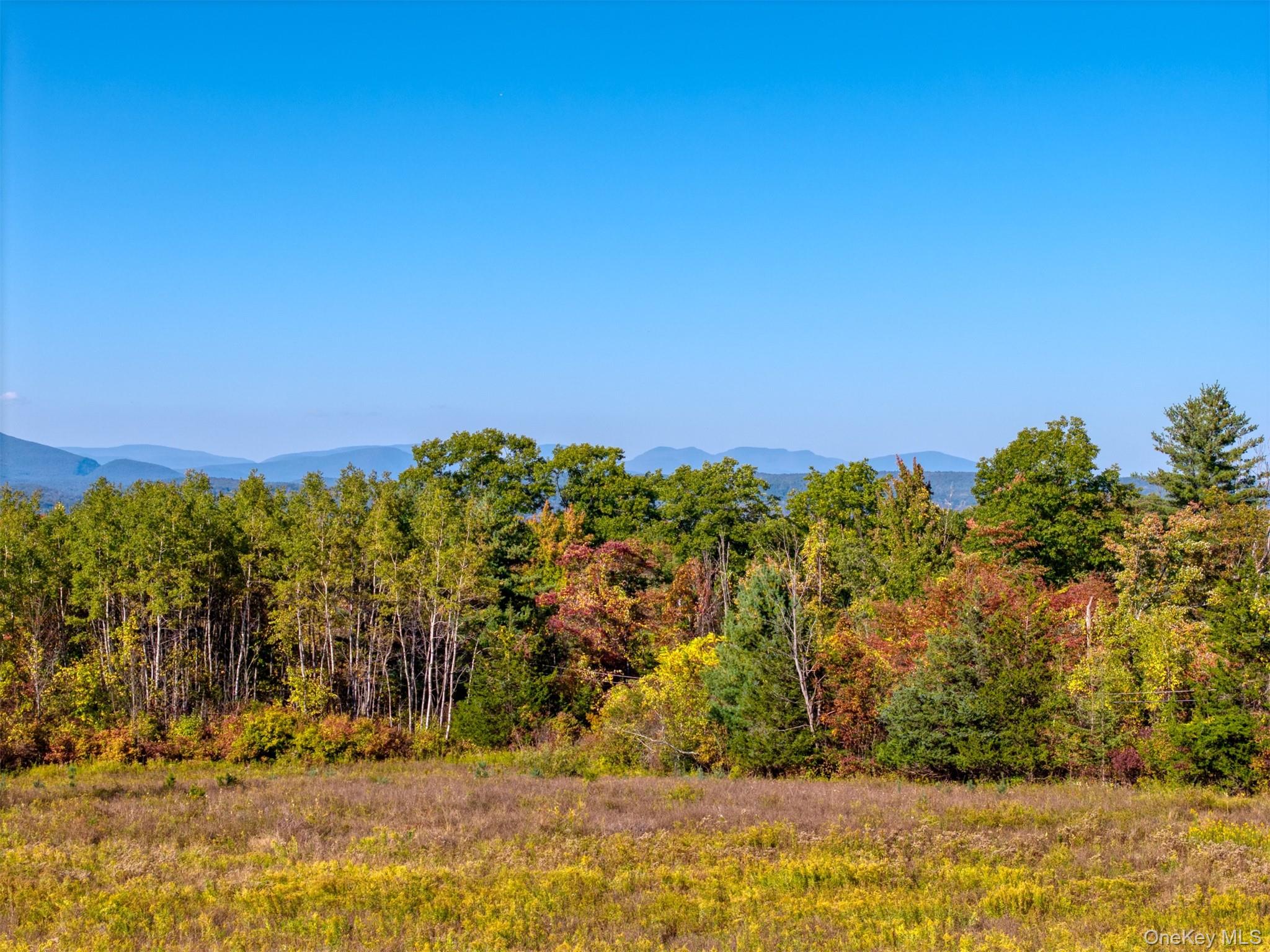 #4 photo, 5883 Route 44 55, Kerhonkson , NY 12446