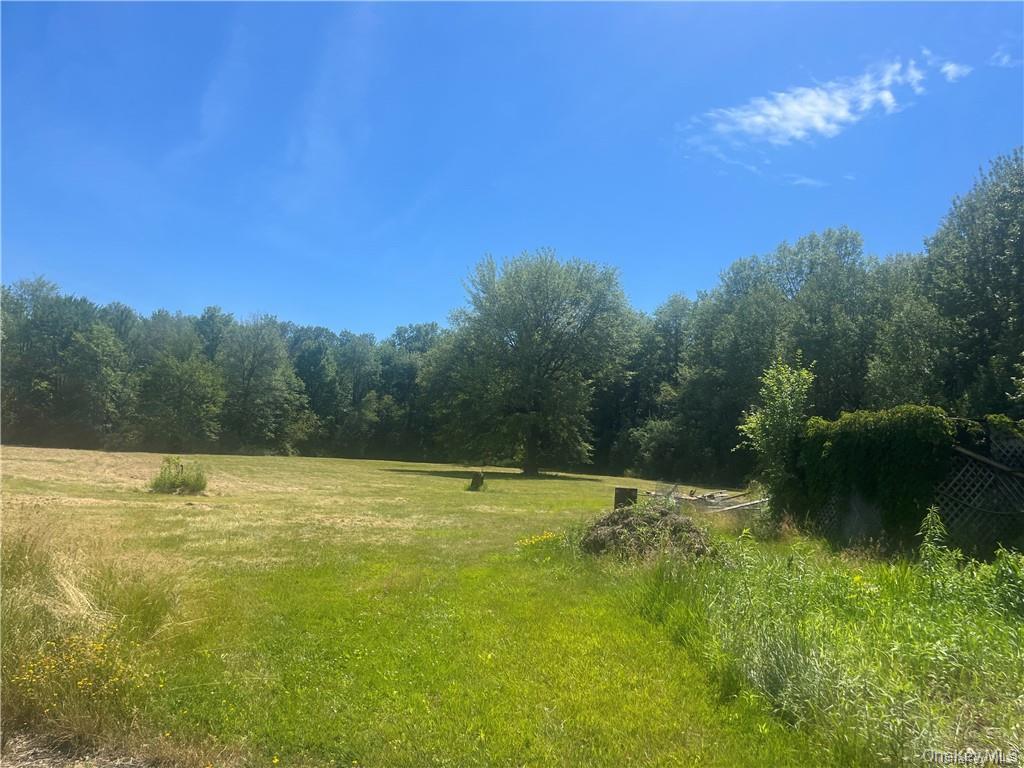 #6 photo, 238 Lasher Road, Tivoli , NY 12583