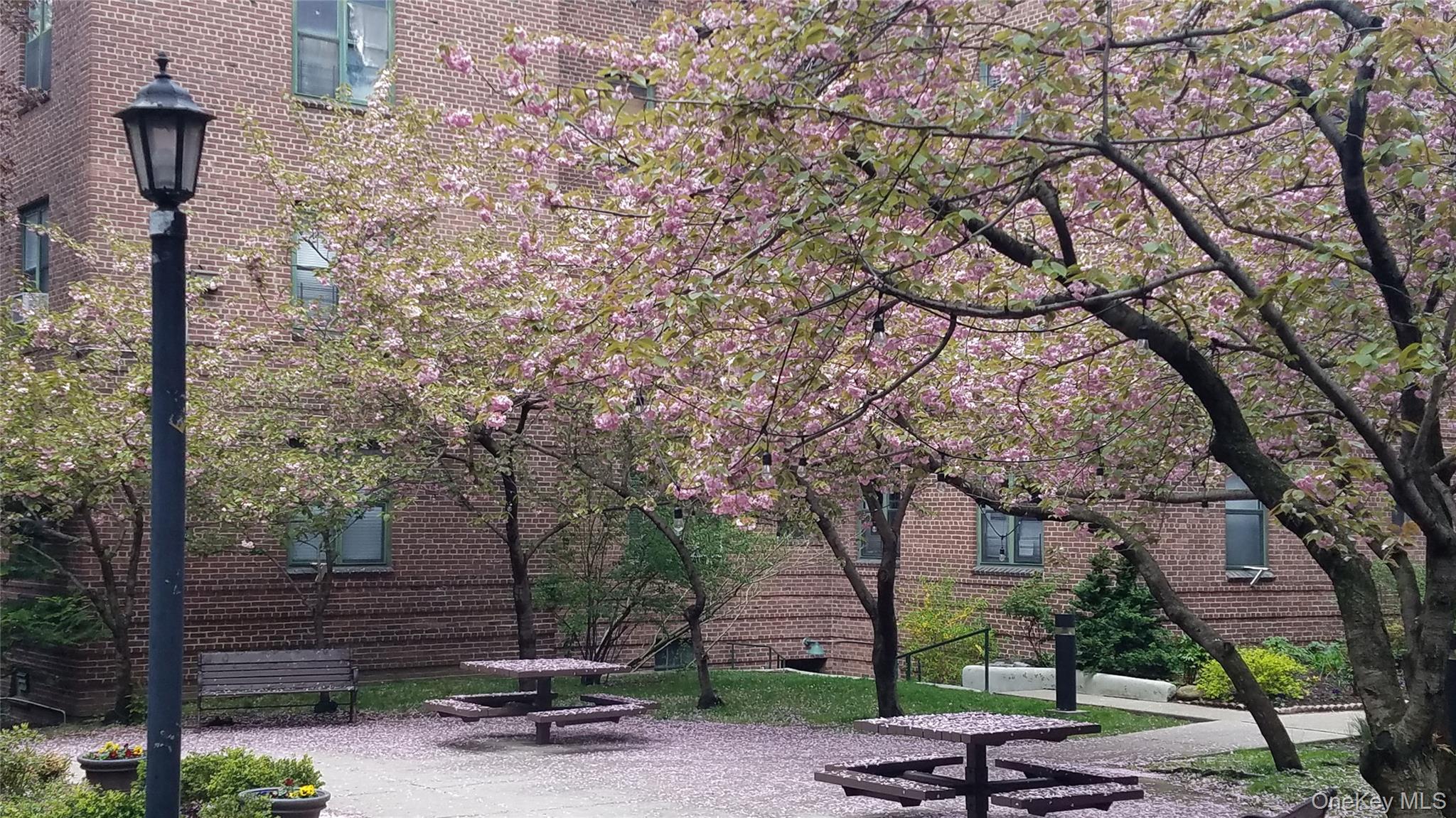 #19 photo, 34-20 79 Street, クイーンズ区 Jackson Heights , NY 11372