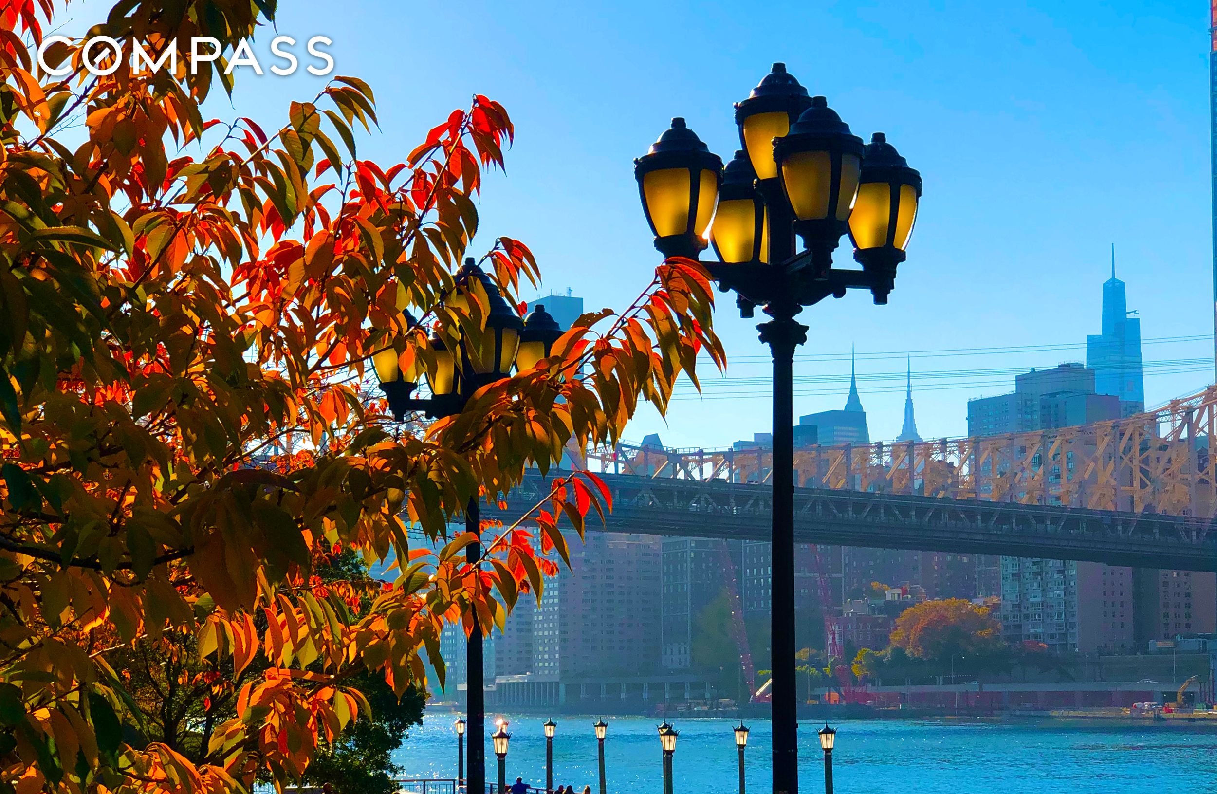 #13 photo, 555 Main Street, マンハッタン Roosevelt Island , NY 10044