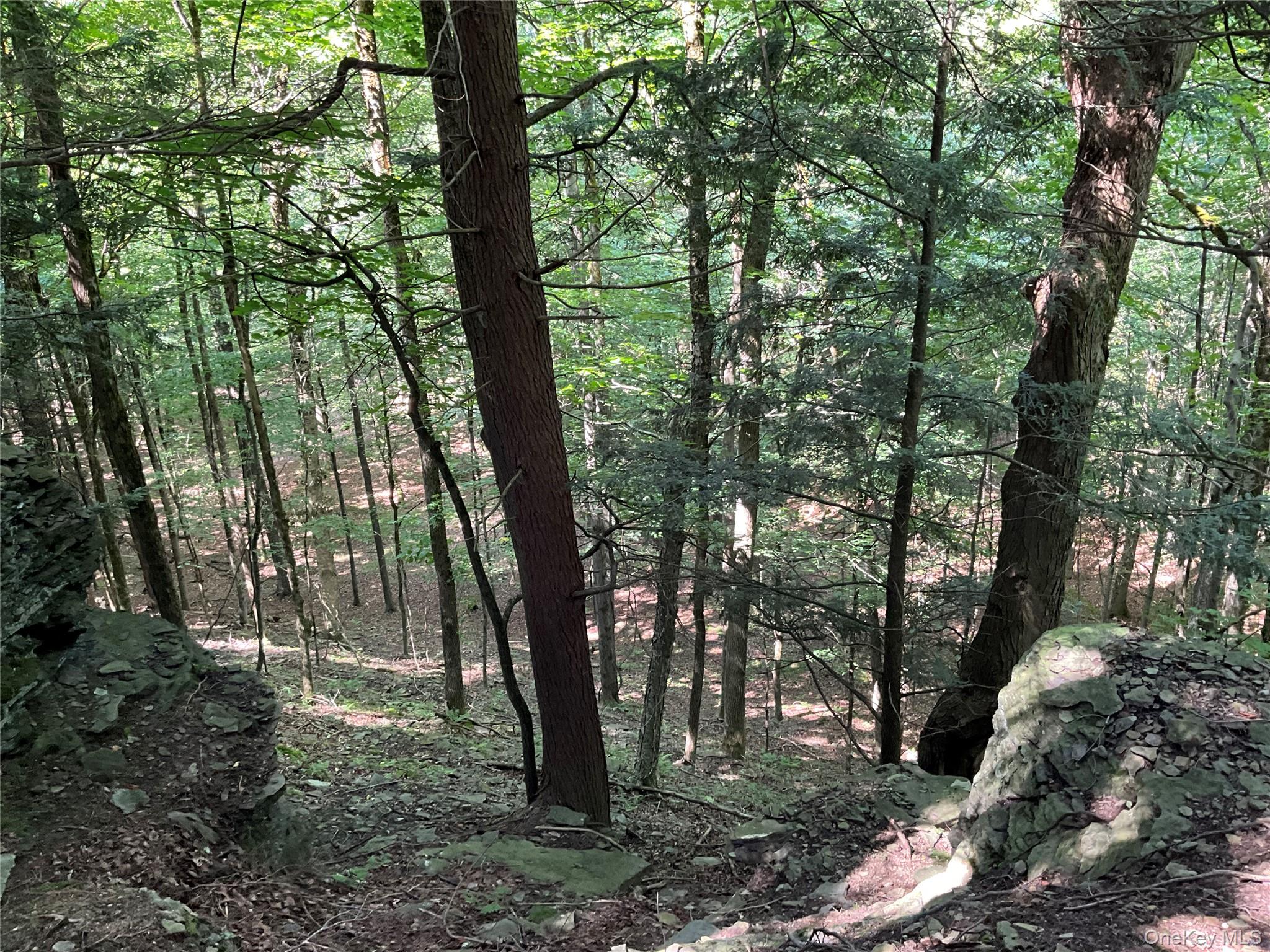 #10 photo, 213 Button Rd, Other , NY 13438