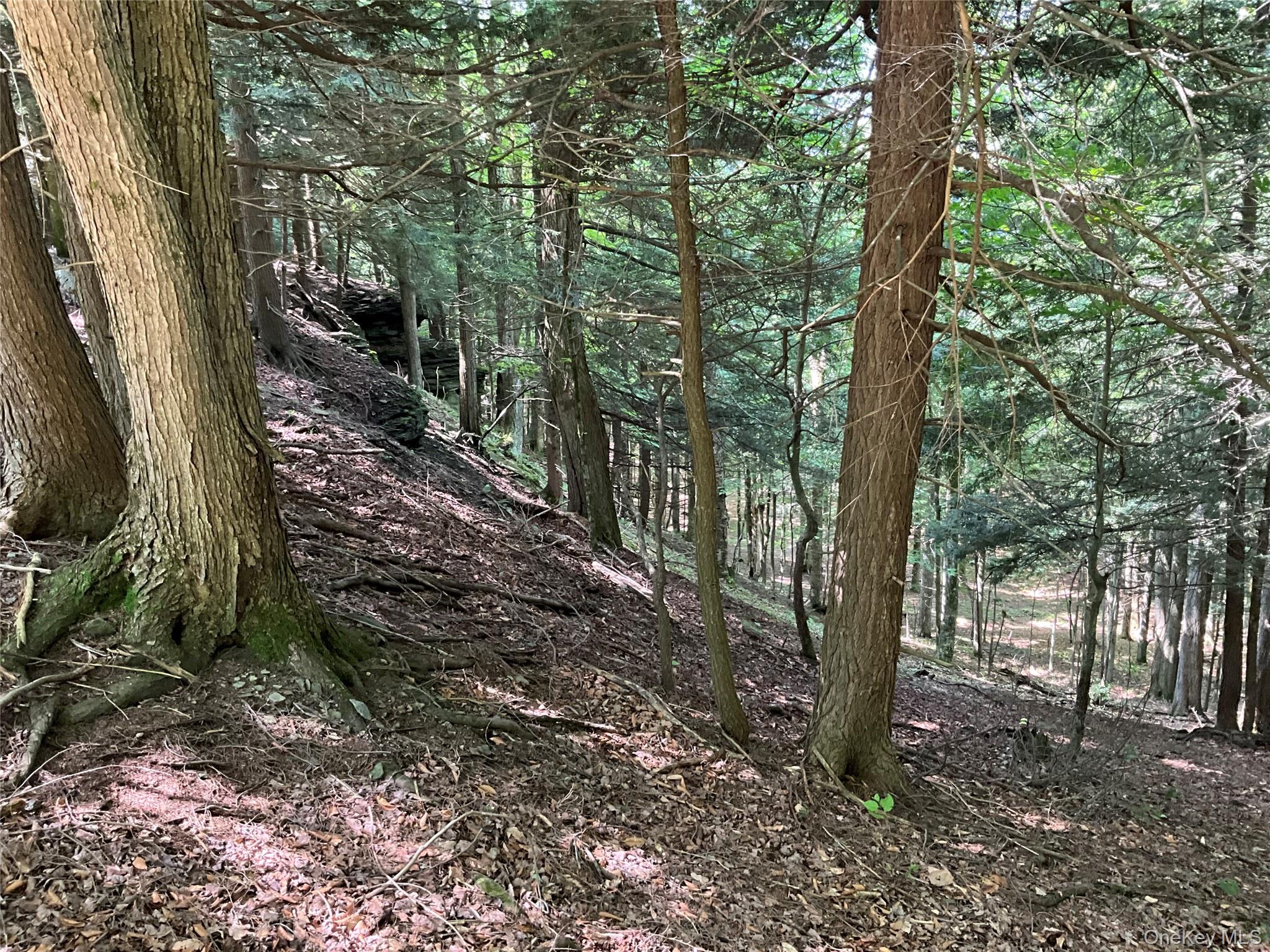 #11 photo, 213 Button Rd, Other , NY 13438