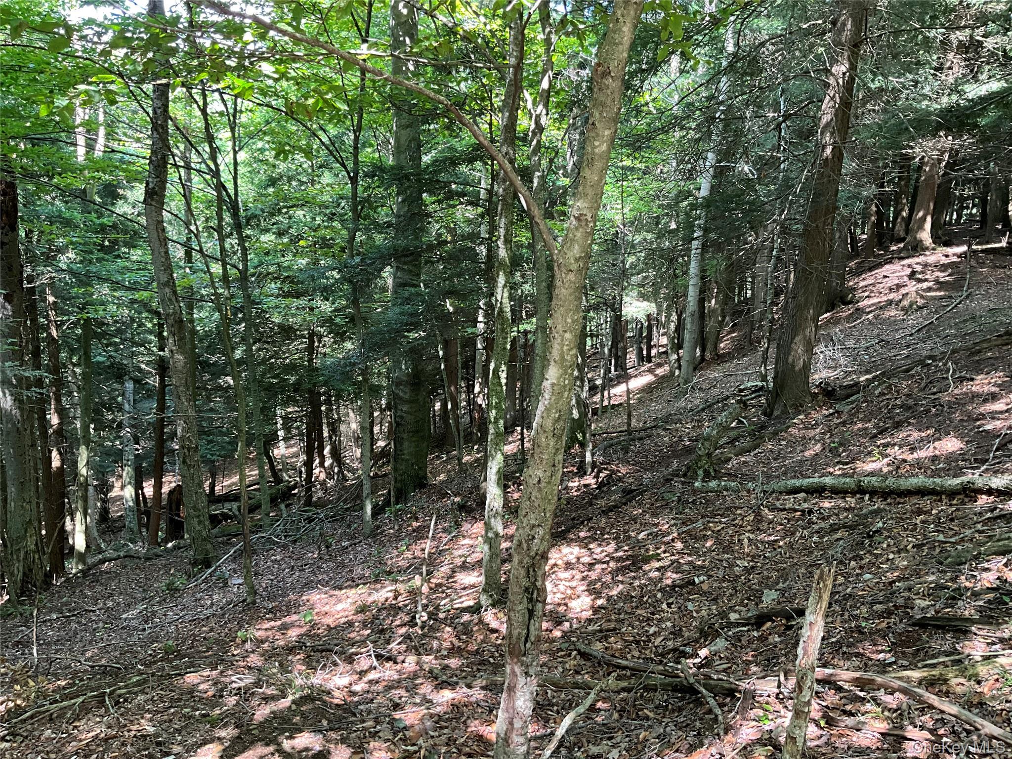 #12 photo, 213 Button Rd, Other , NY 13438