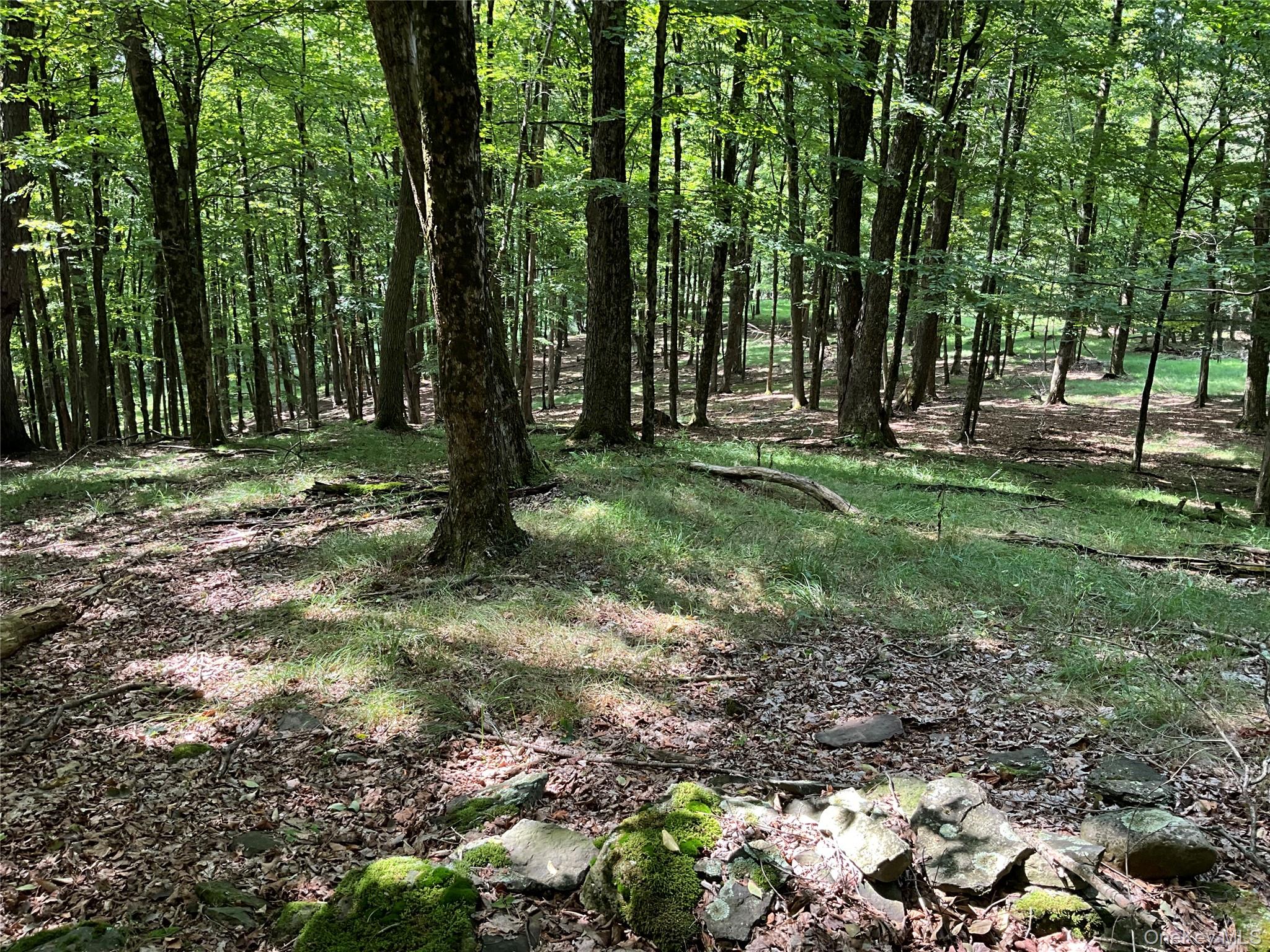 #13 photo, 213 Button Rd, Other , NY 13438