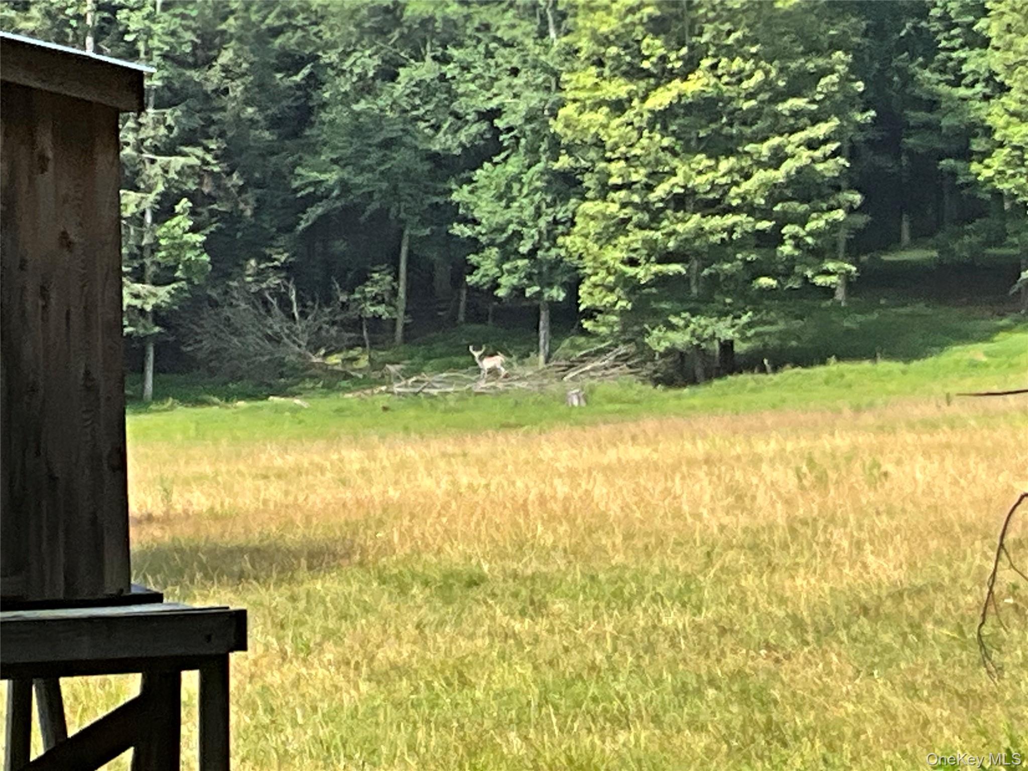 #15 photo, 213 Button Rd, Other , NY 13438