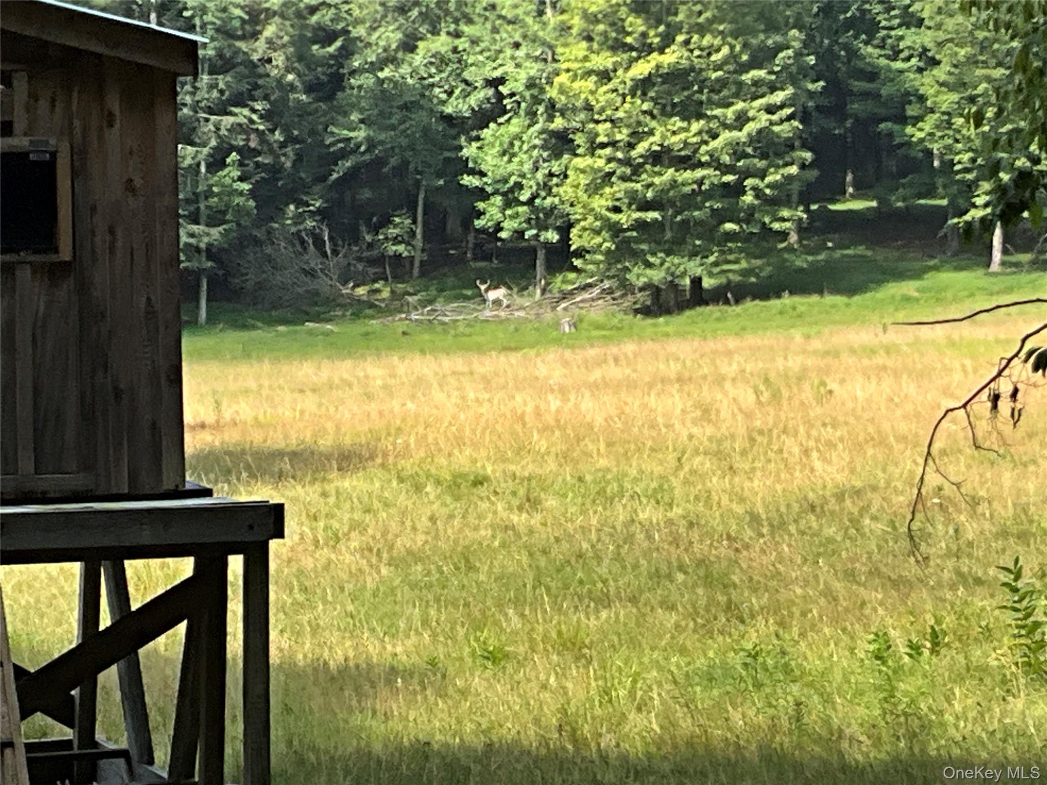 #16 photo, 213 Button Rd, Other , NY 13438