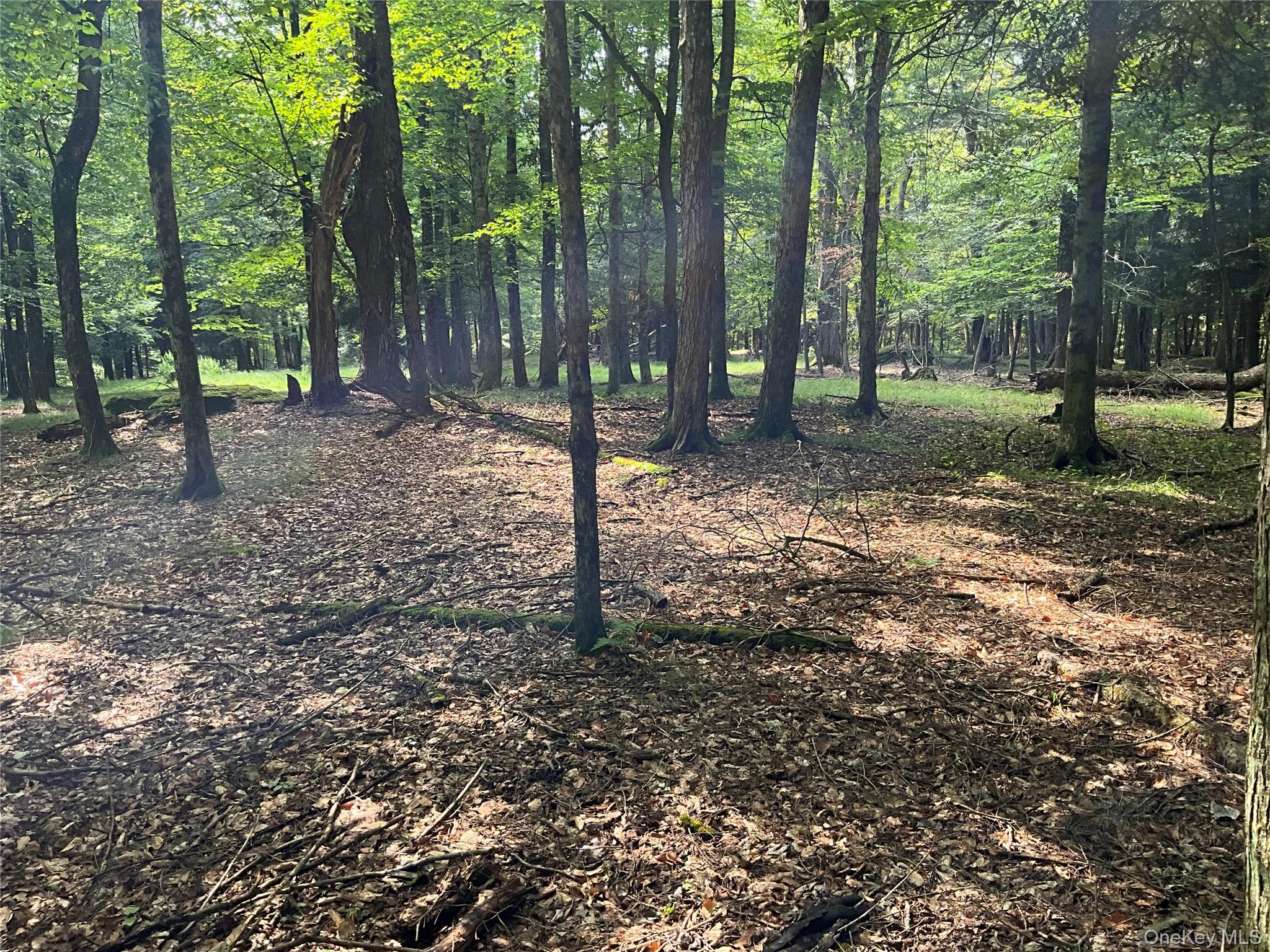 #17 photo, 213 Button Rd, Other , NY 13438