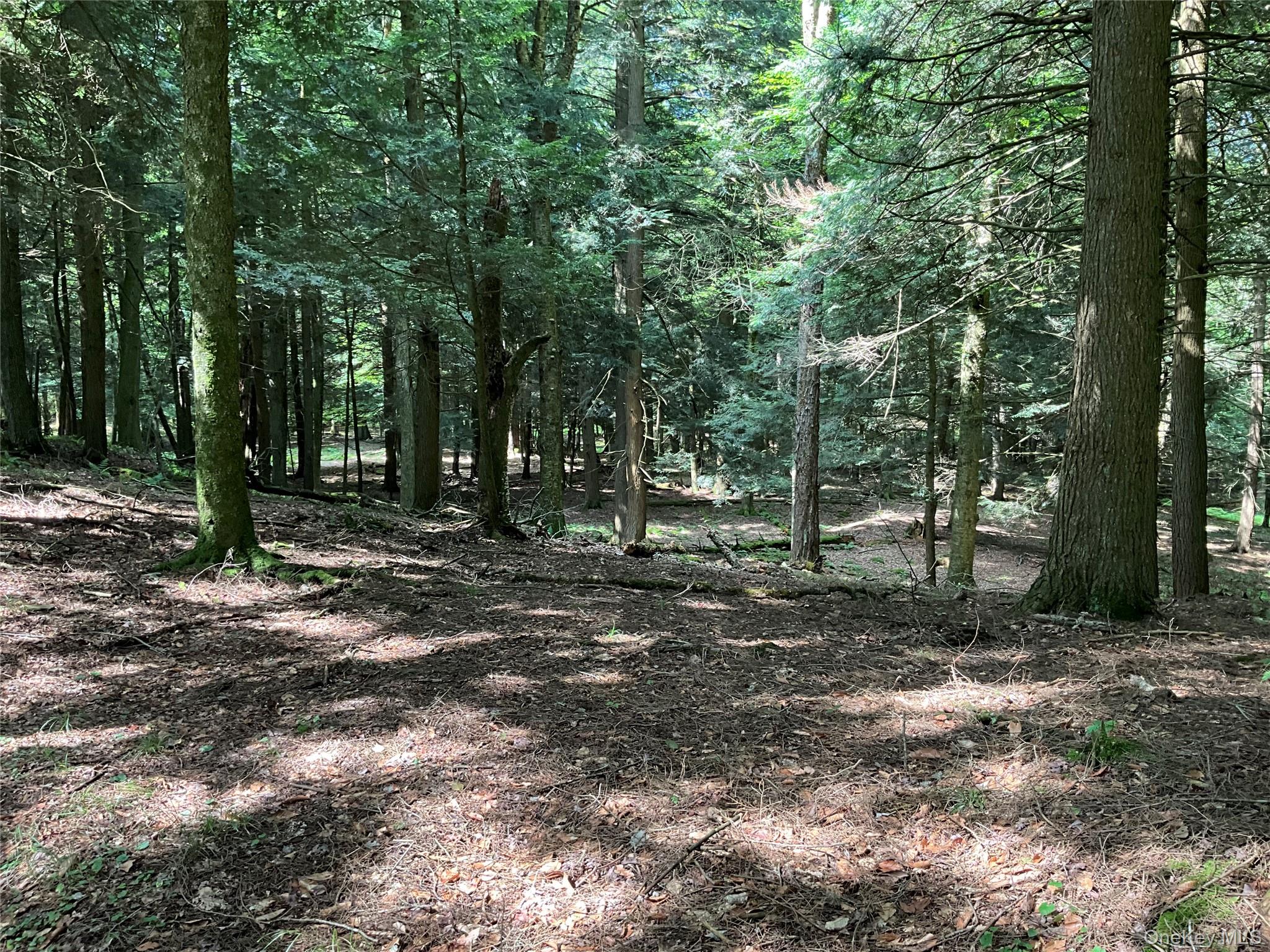 #19 photo, 213 Button Rd, Other , NY 13438