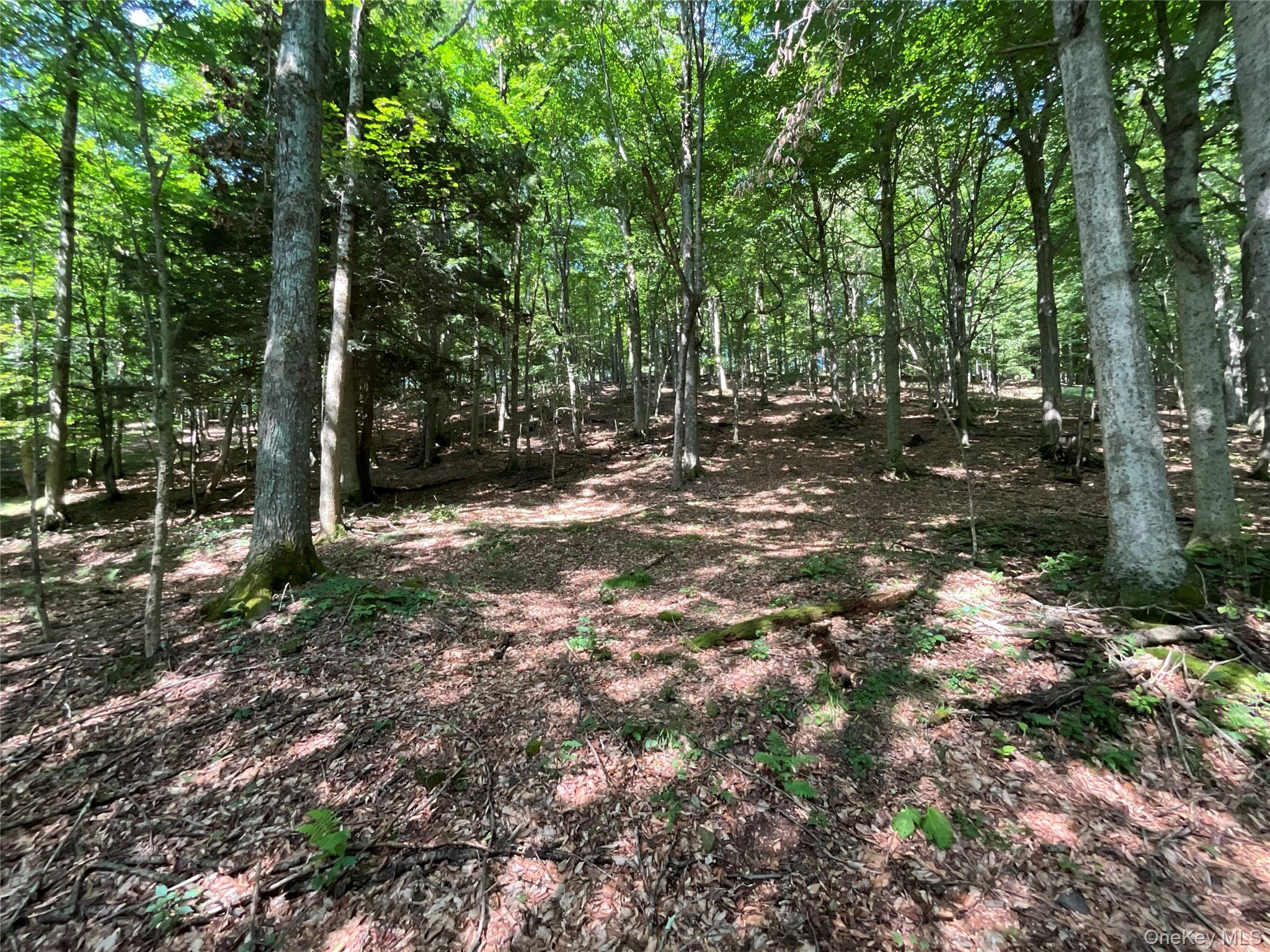 #20 photo, 213 Button Rd, Other , NY 13438