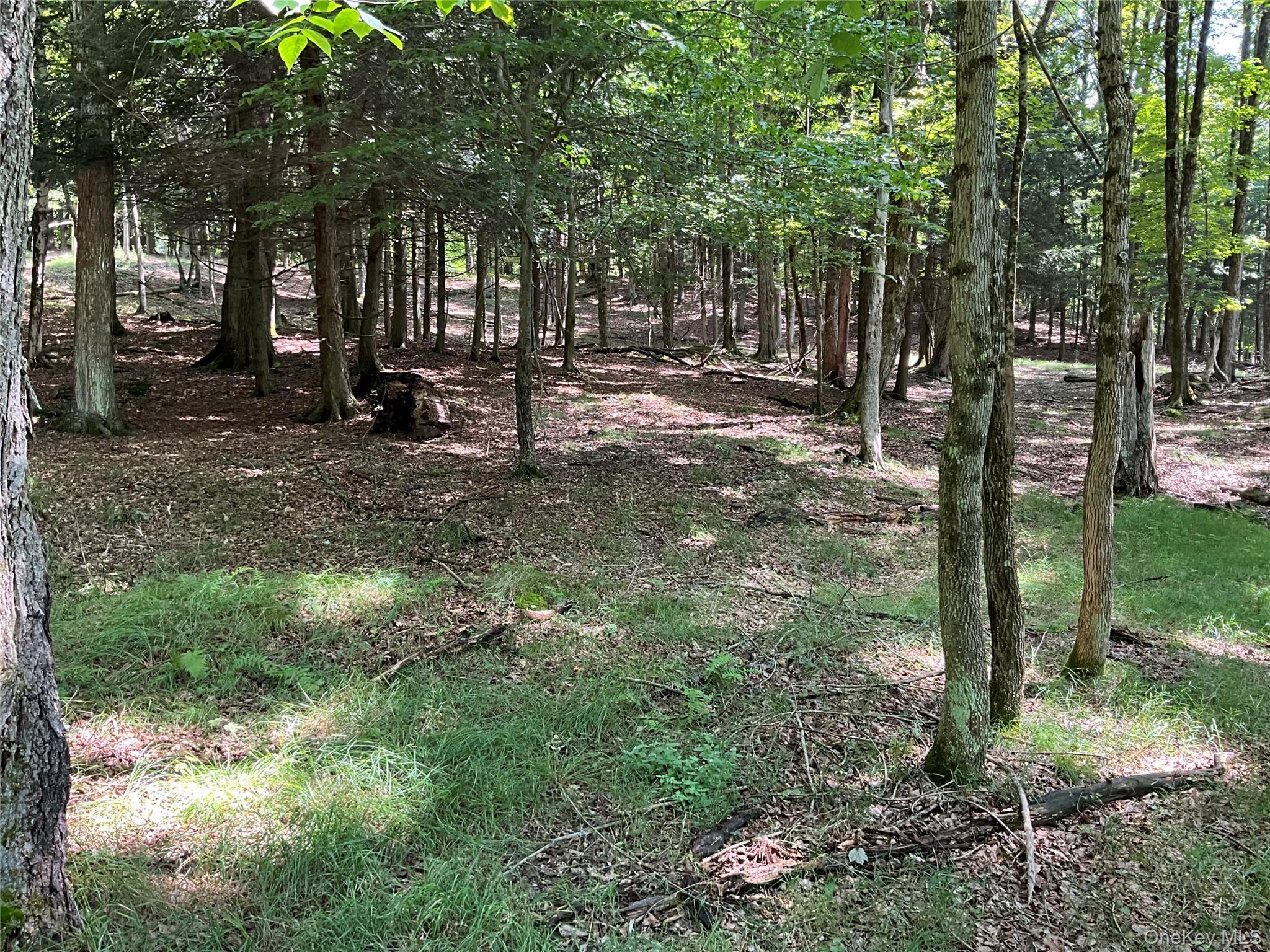 #6 photo, 213 Button Rd, Other , NY 13438