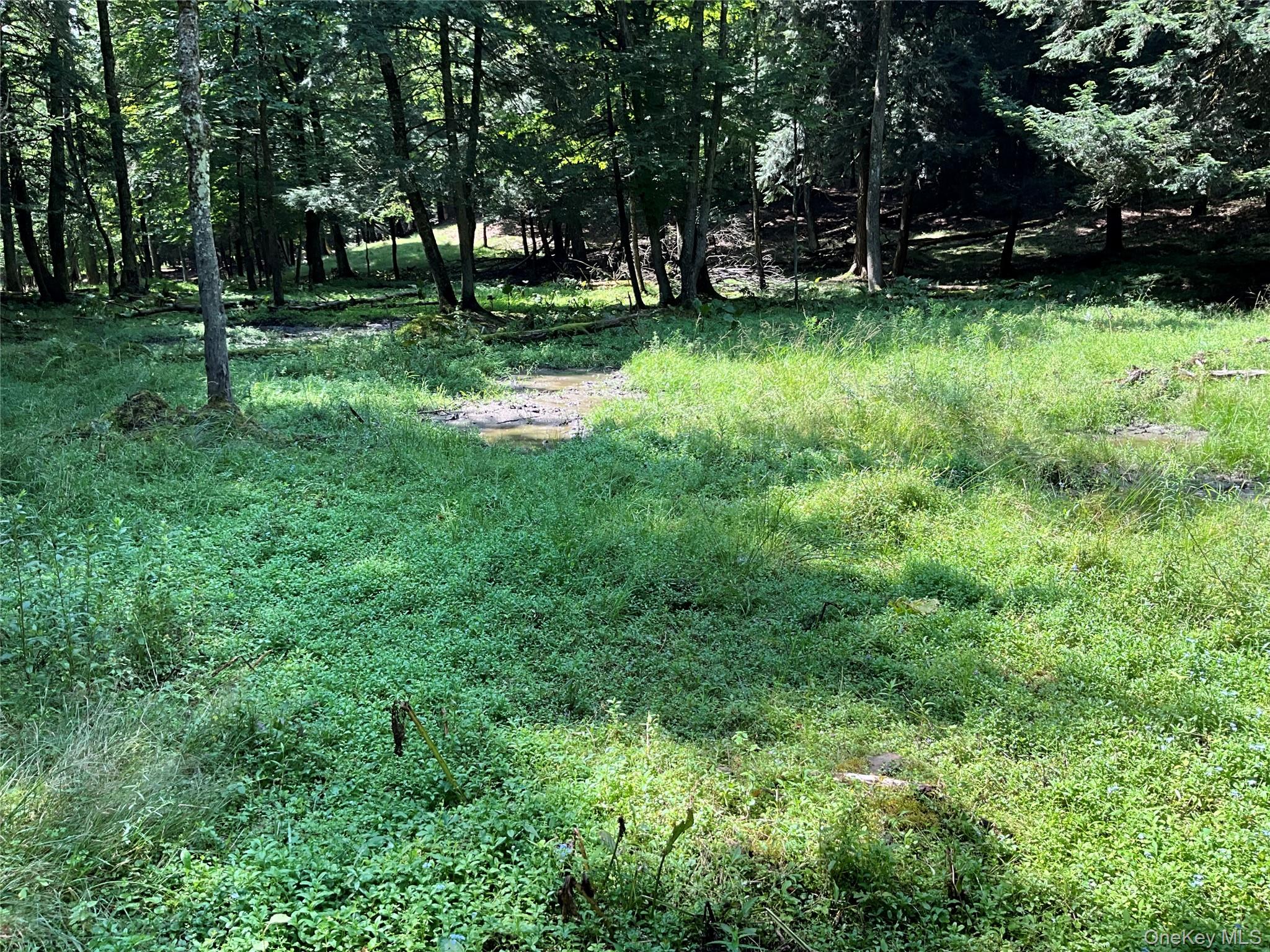 #7 photo, 213 Button Rd, Other , NY 13438