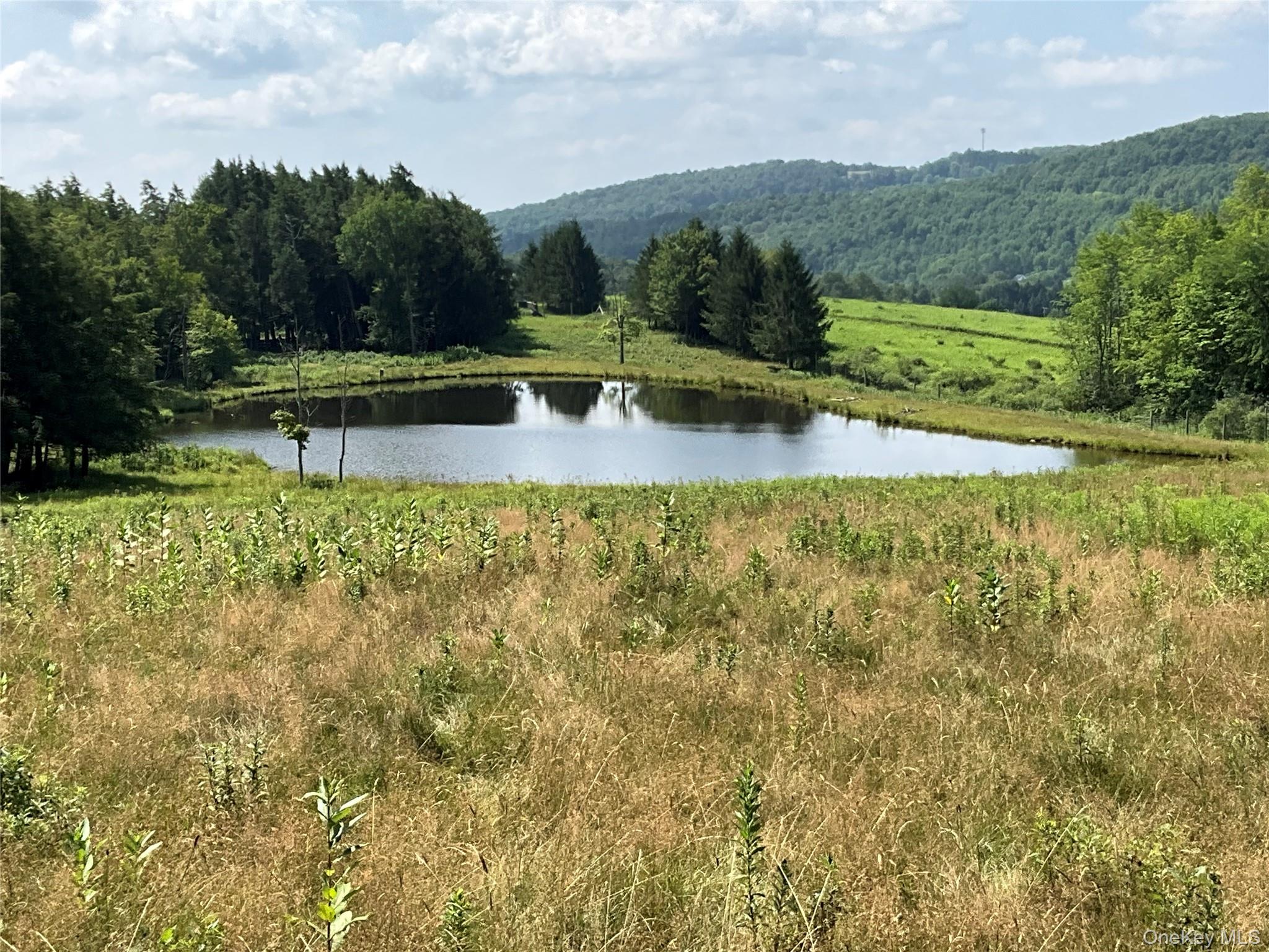 #8 photo, 213 Button Rd, Other , NY 13438