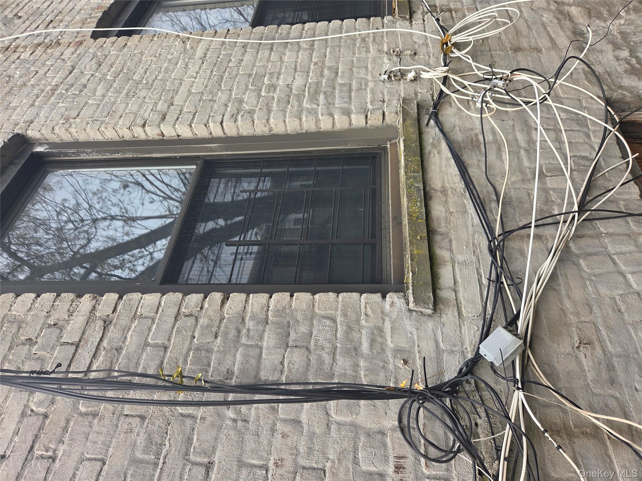 #12 photo, 401 Legion Street, ব্রুকলিন Brooklyn , NY 11212