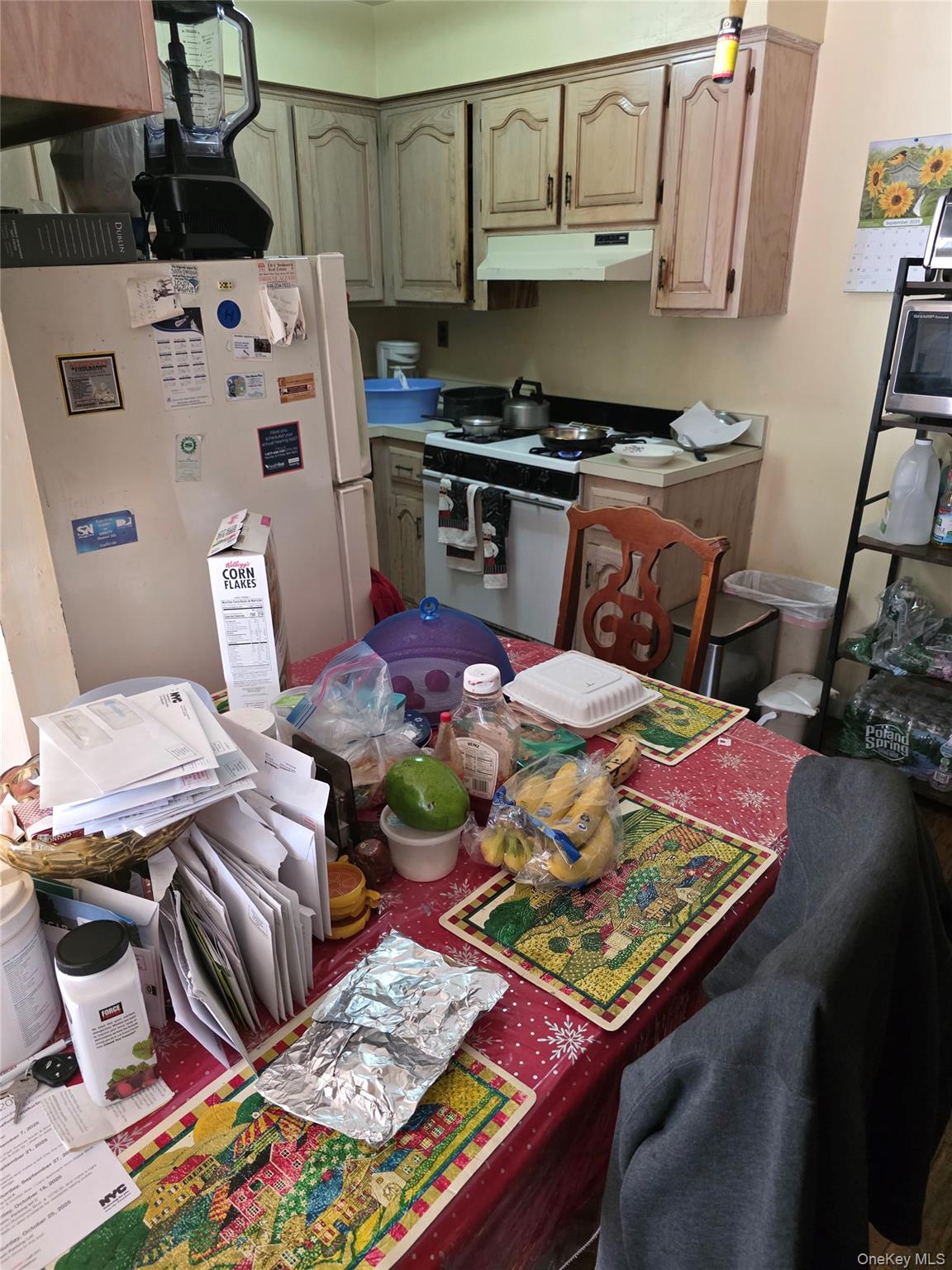 #10 photo, 3232 Ely Avenue, Bronx , NY 10469