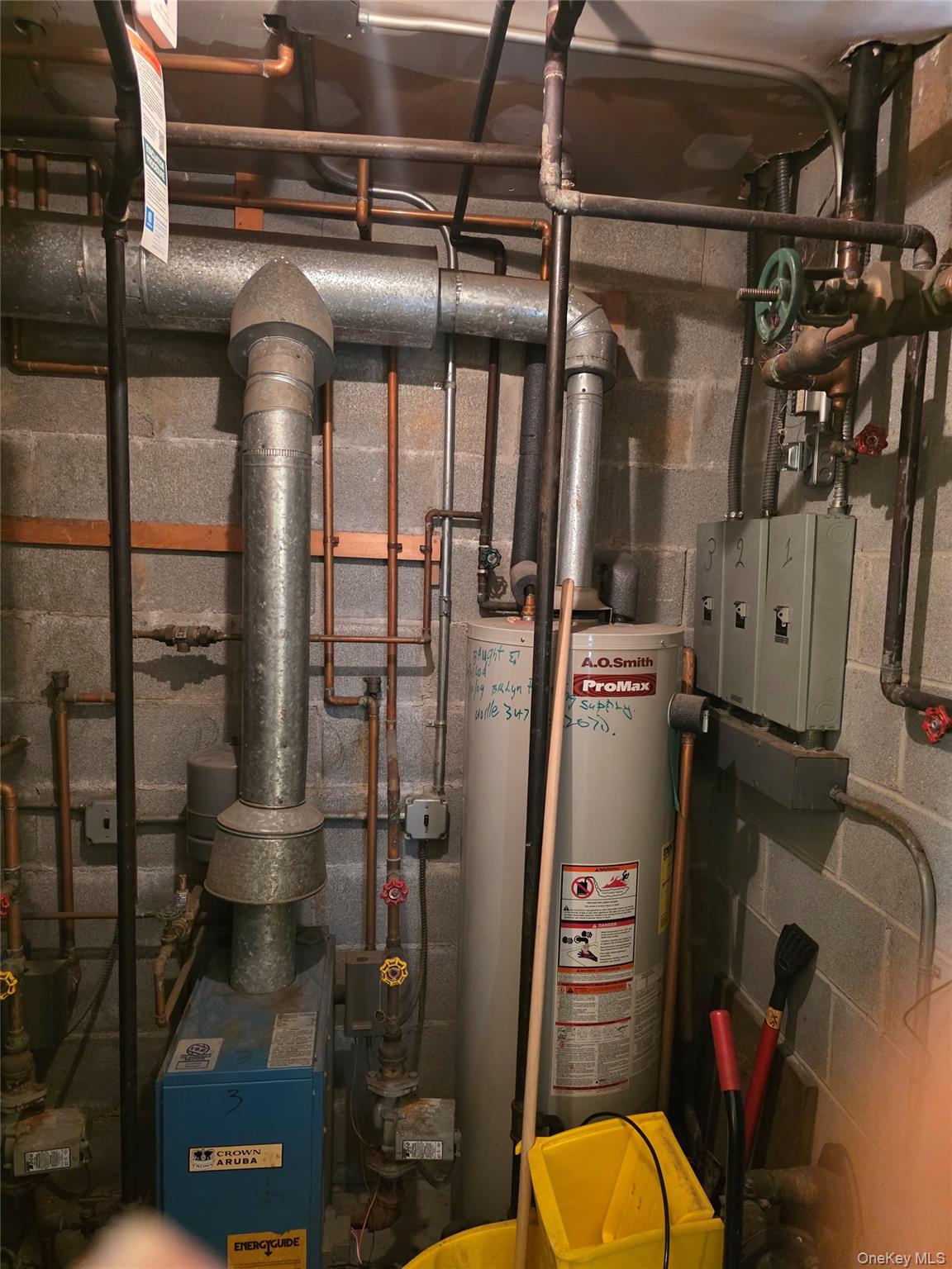 #3 photo, 3232 Ely Avenue, Bronx , NY 10469